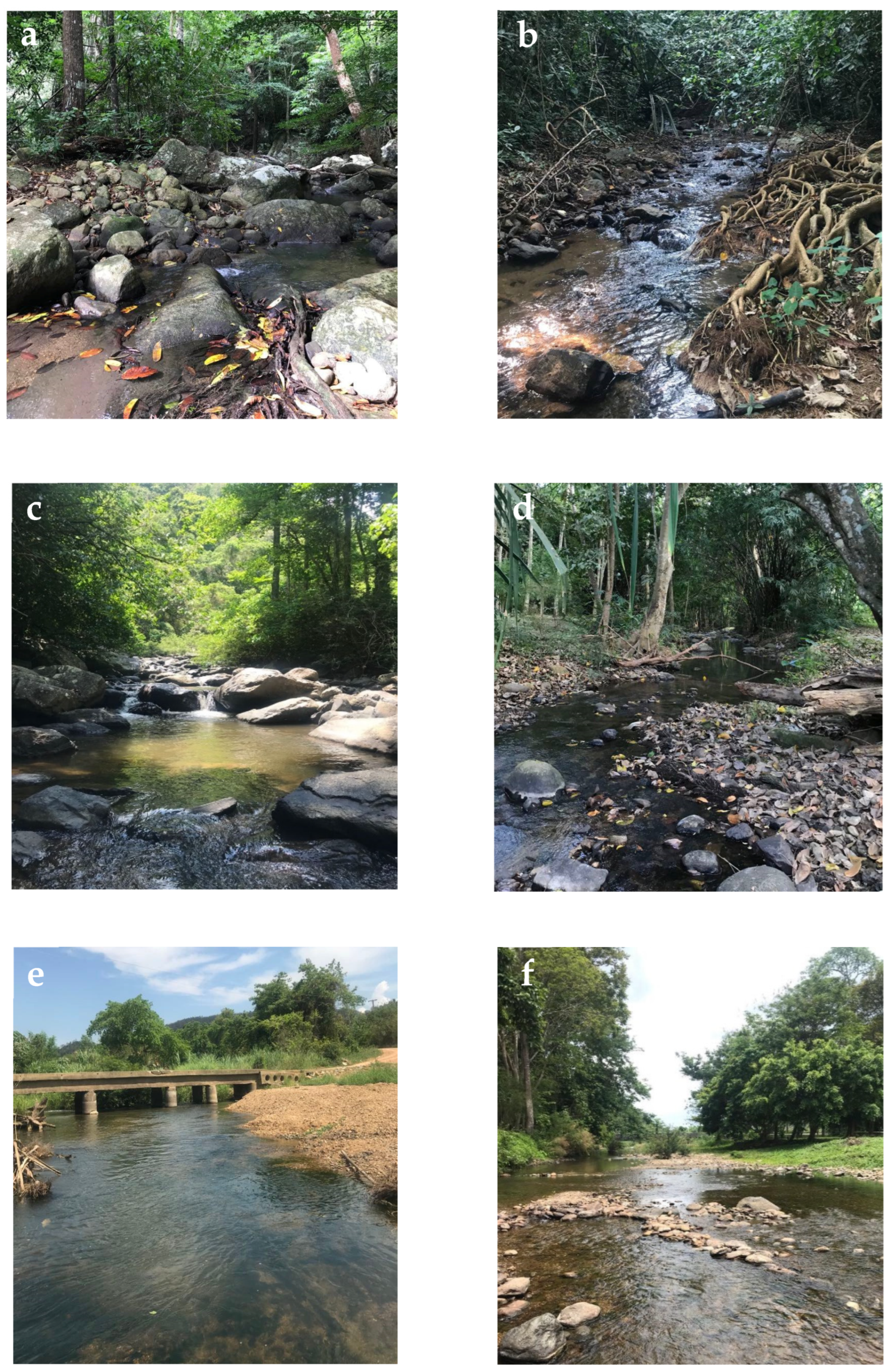 Diversity 14 00462 g002