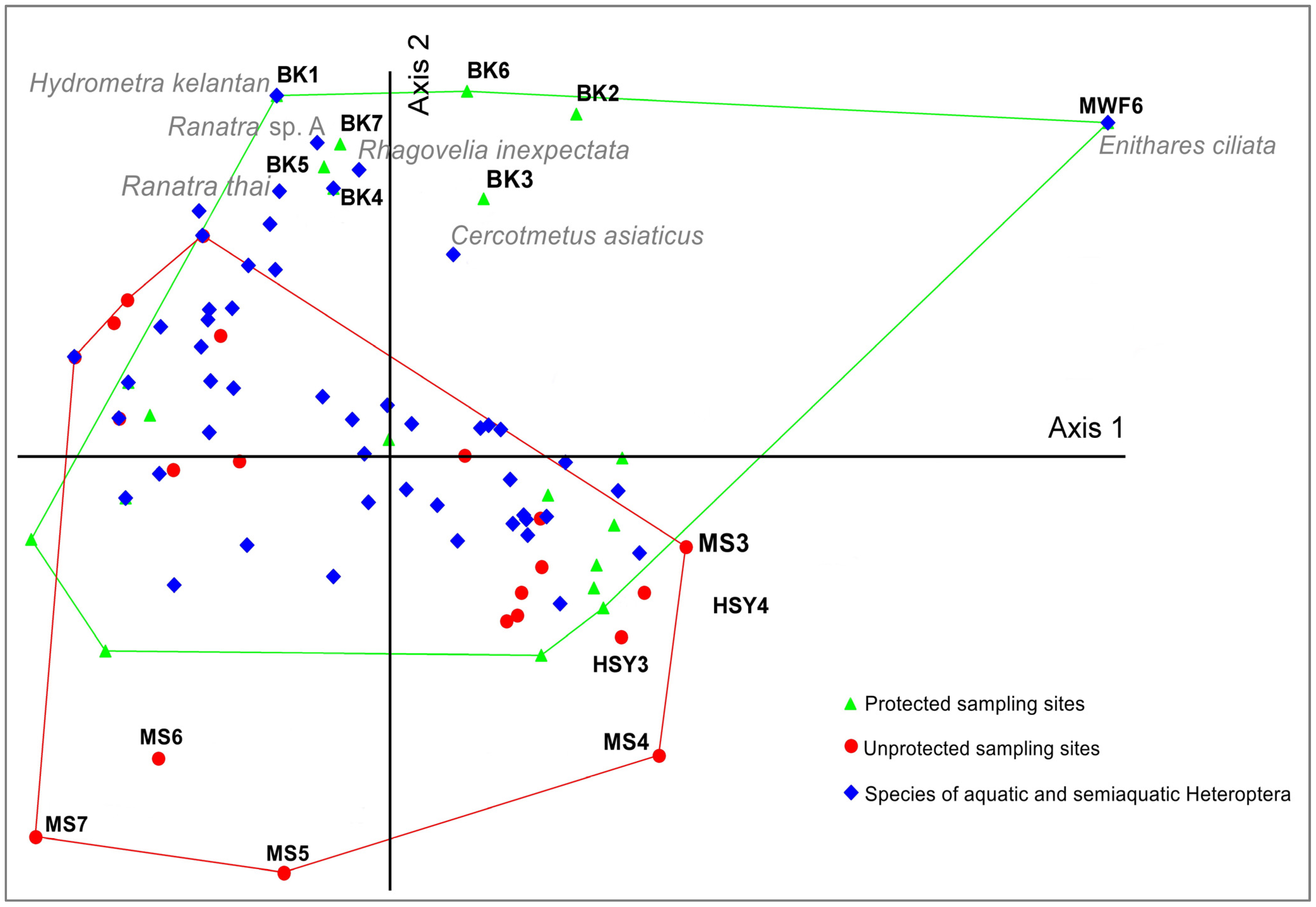 Diversity 14 00462 g004