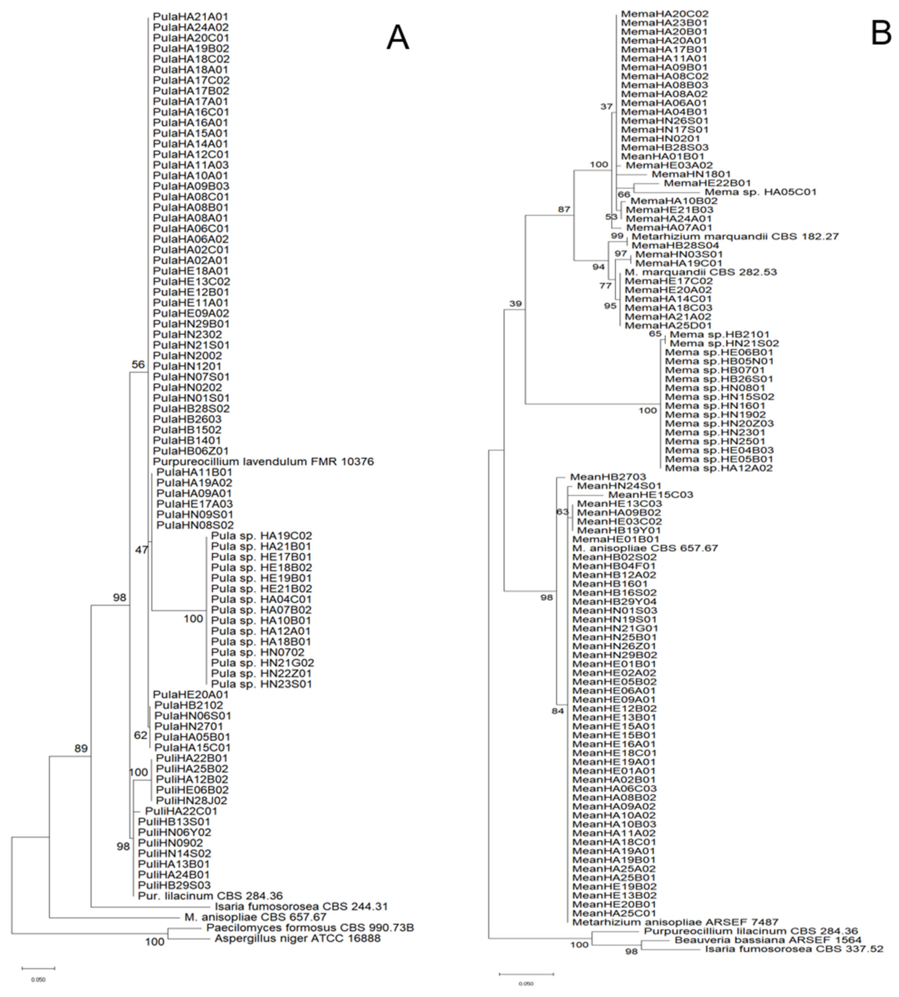 Diversity 14 00464 g001