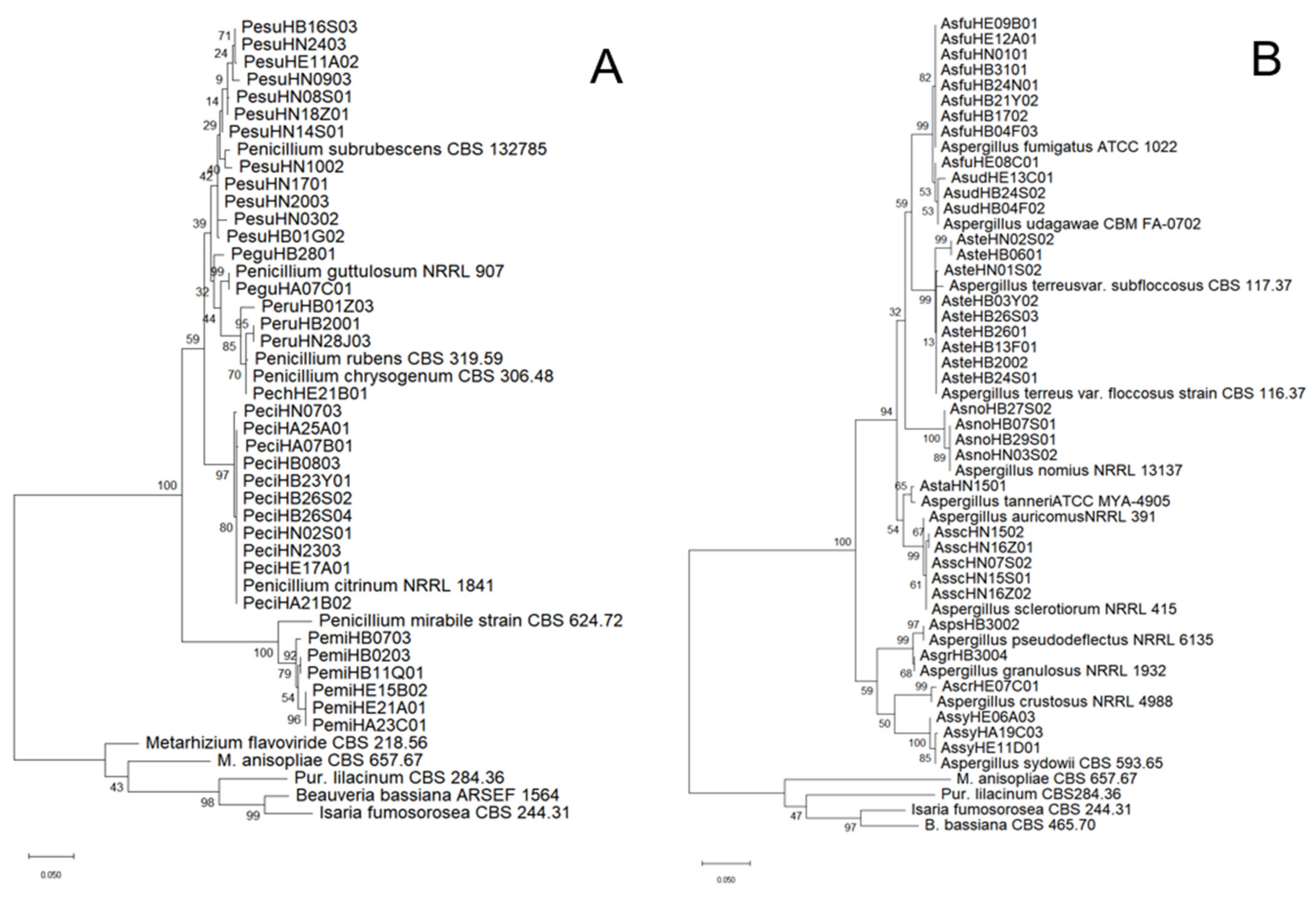 Diversity 14 00464 g002