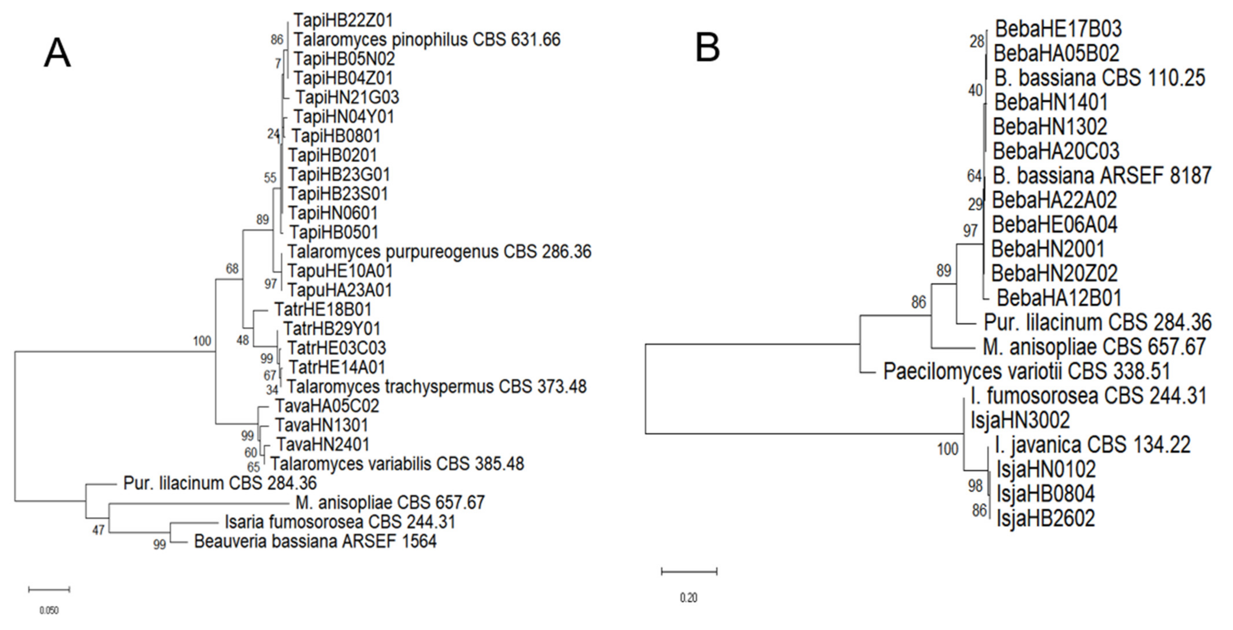 Diversity 14 00464 g003