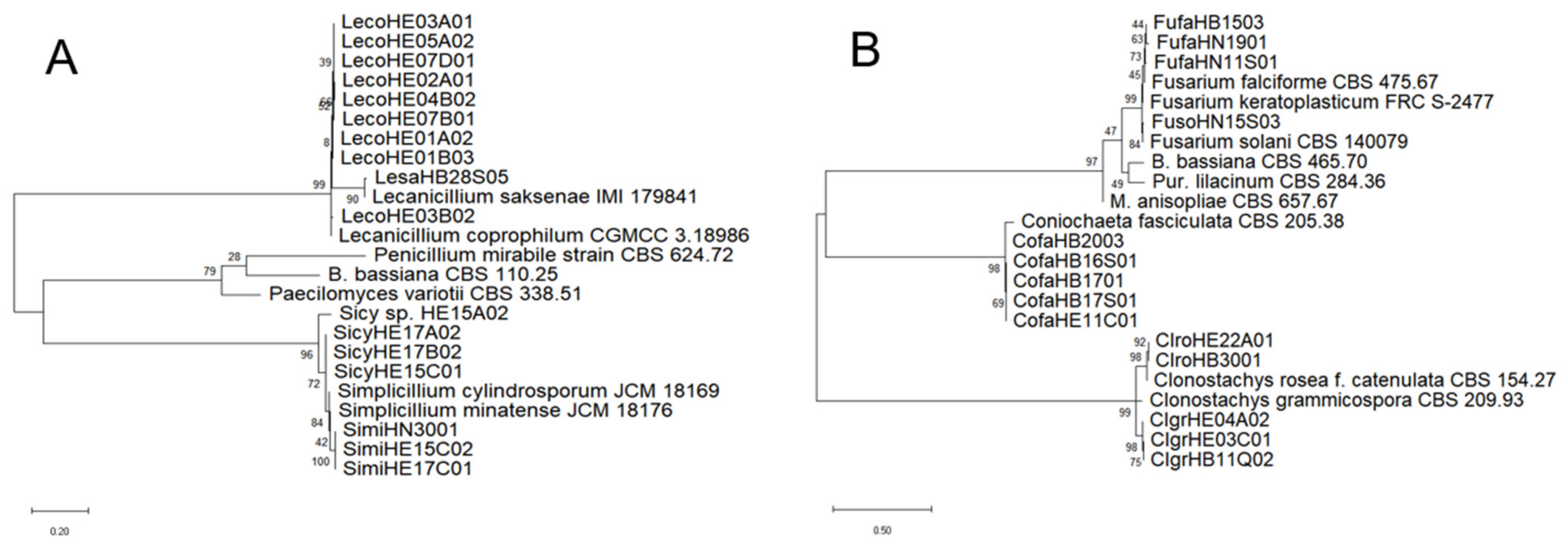 Diversity 14 00464 g004