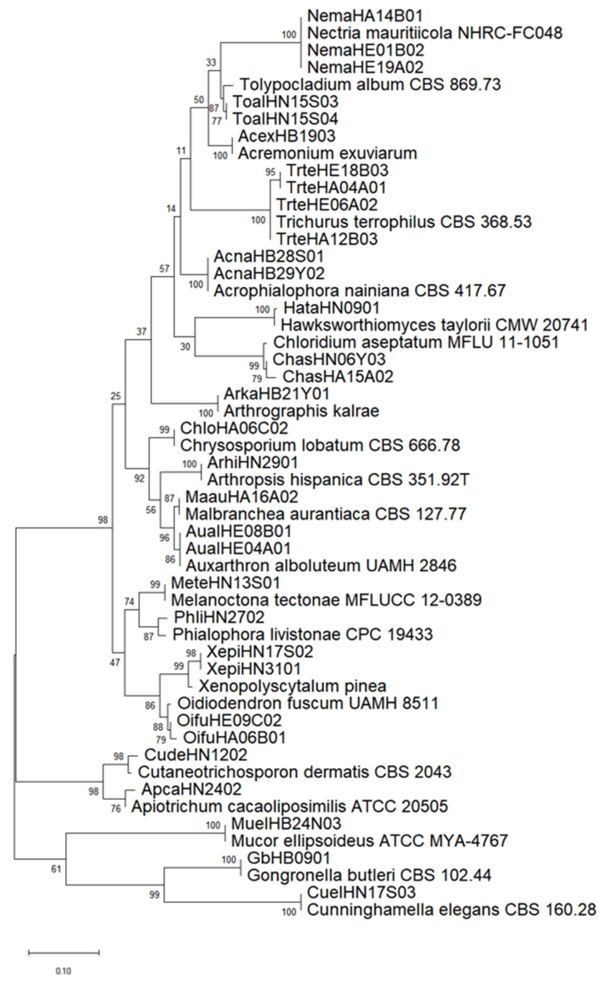 Diversity 14 00464 g005
