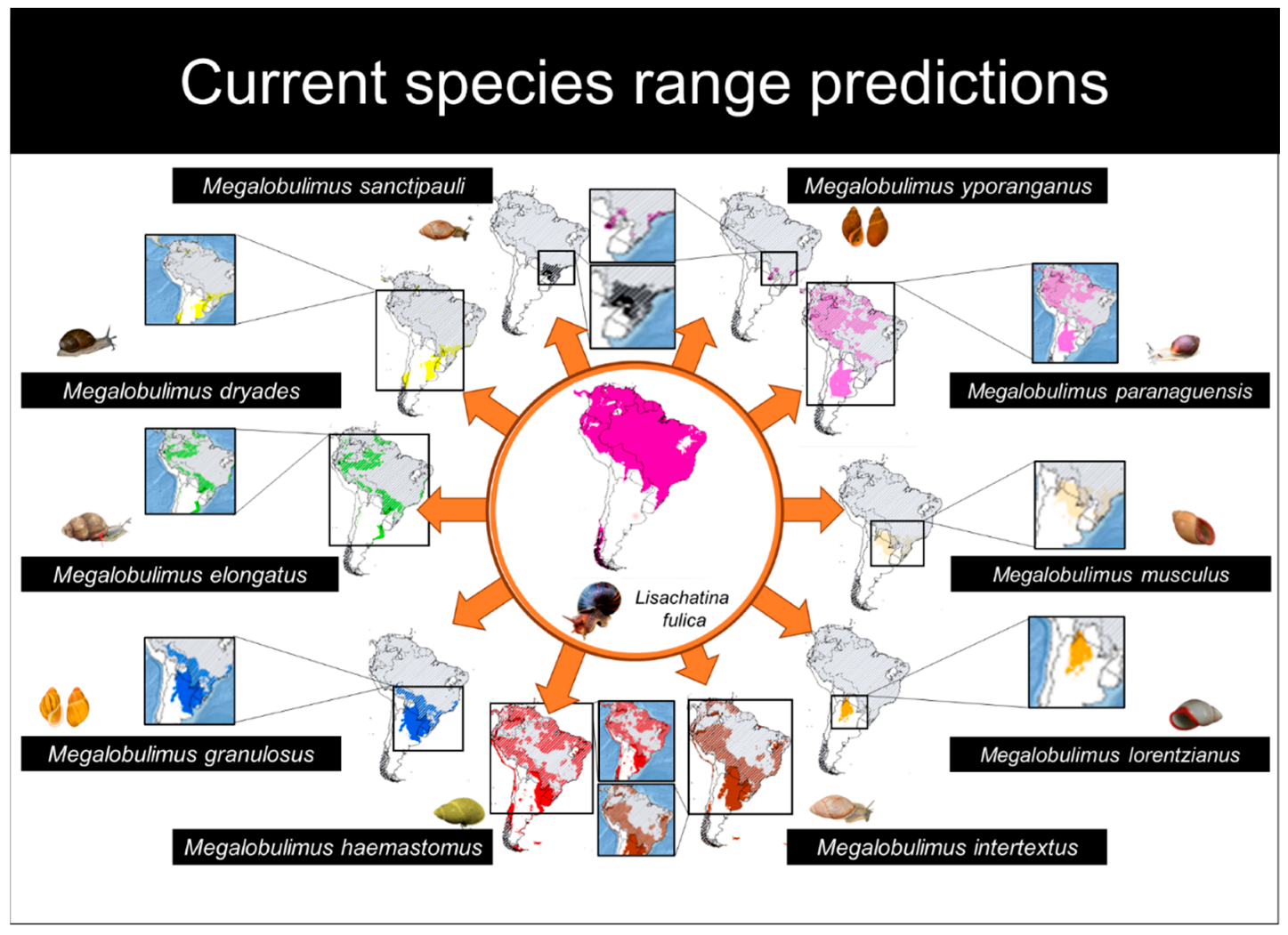 Diversity 14 00467 g002