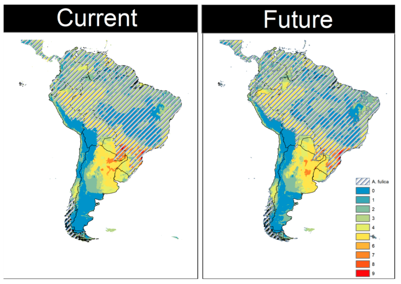 Diversity 14 00467 g005