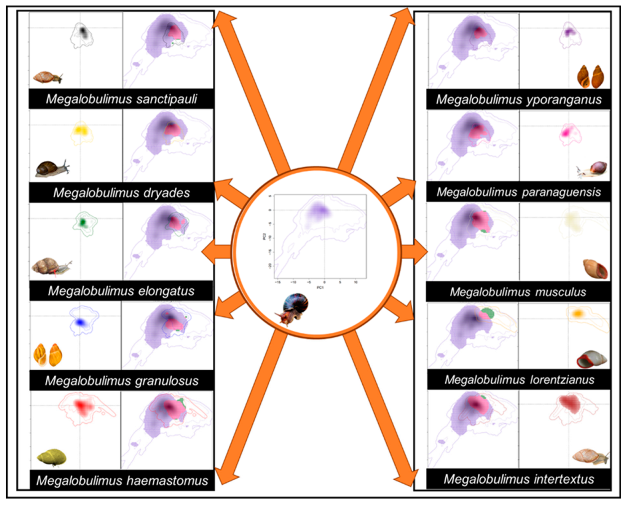 Diversity 14 00467 g006