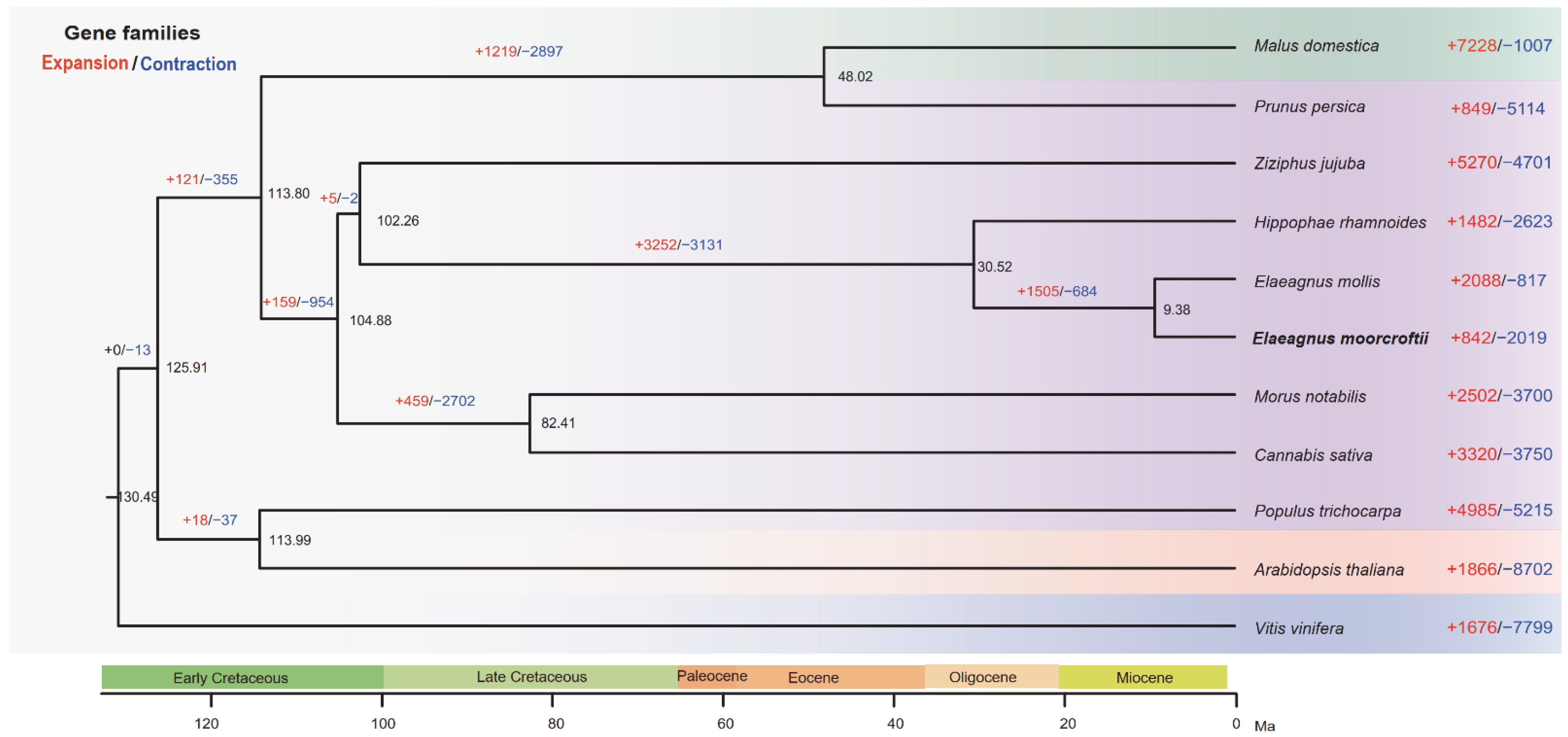 Diversity 14 00468 g002 Diversity 14 00468 g002