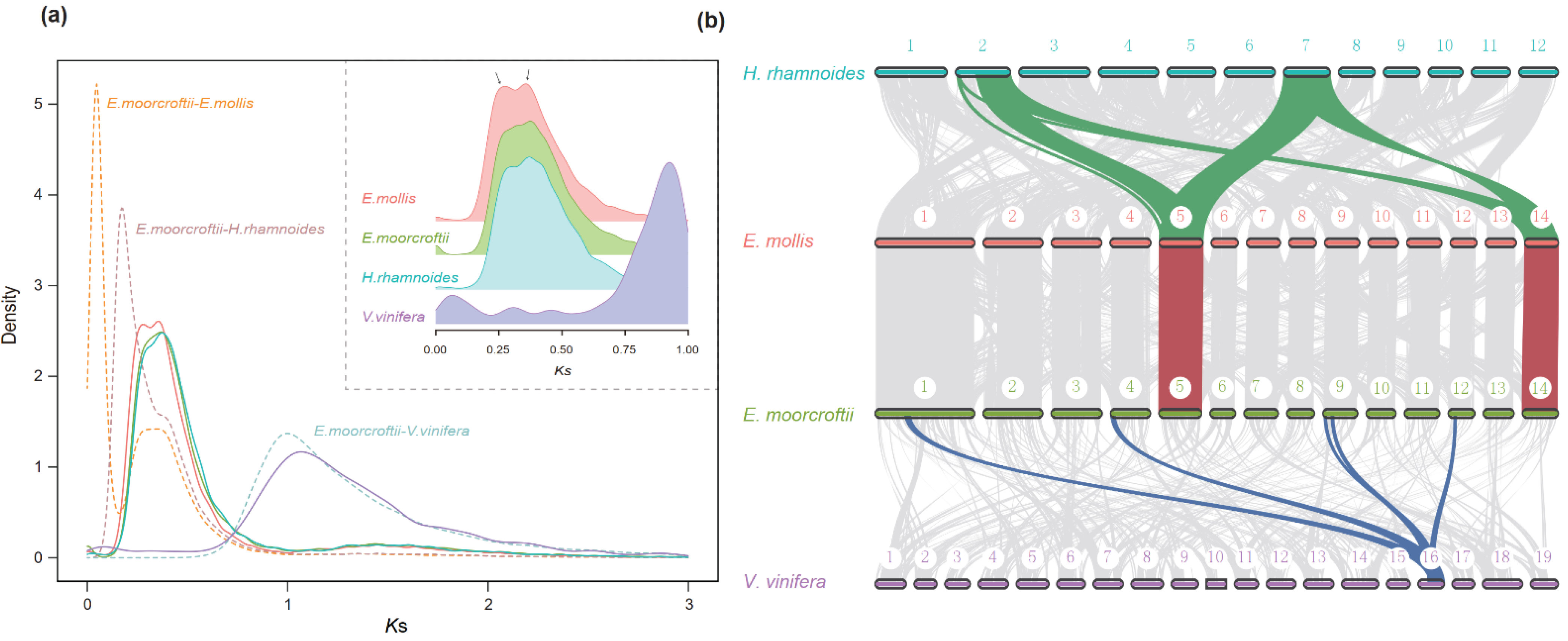 Diversity 14 00468 g003 Diversity 14 00468 g003