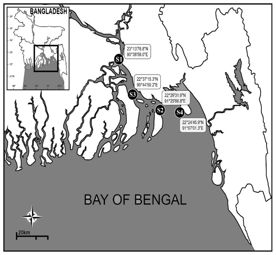 Diversity 14 00473 g001