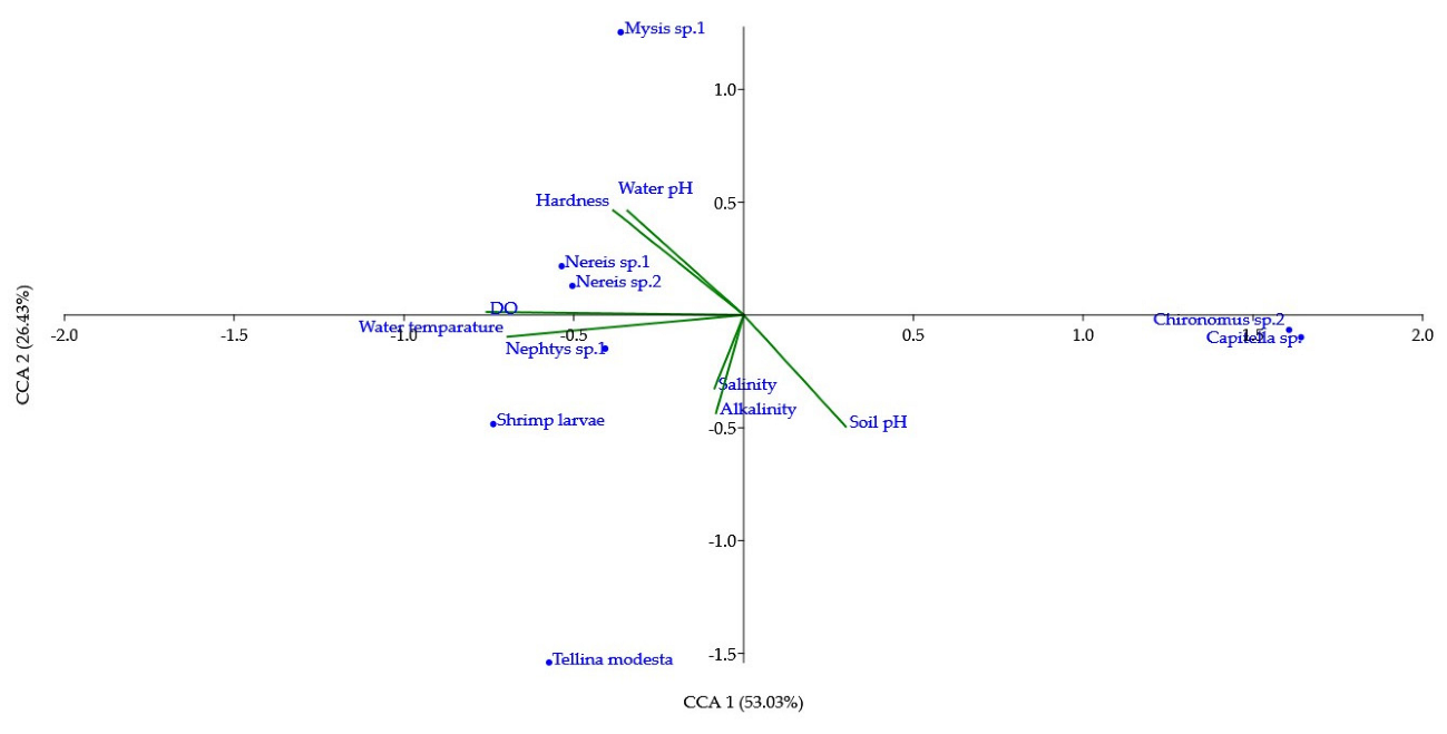 Diversity 14 00473 g005