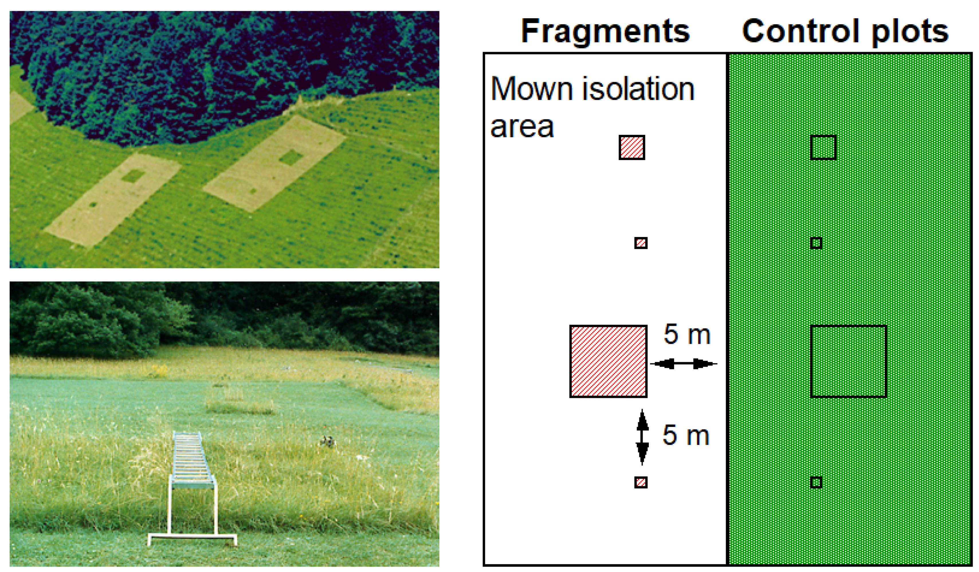 Diversity 14 00474 g001 550