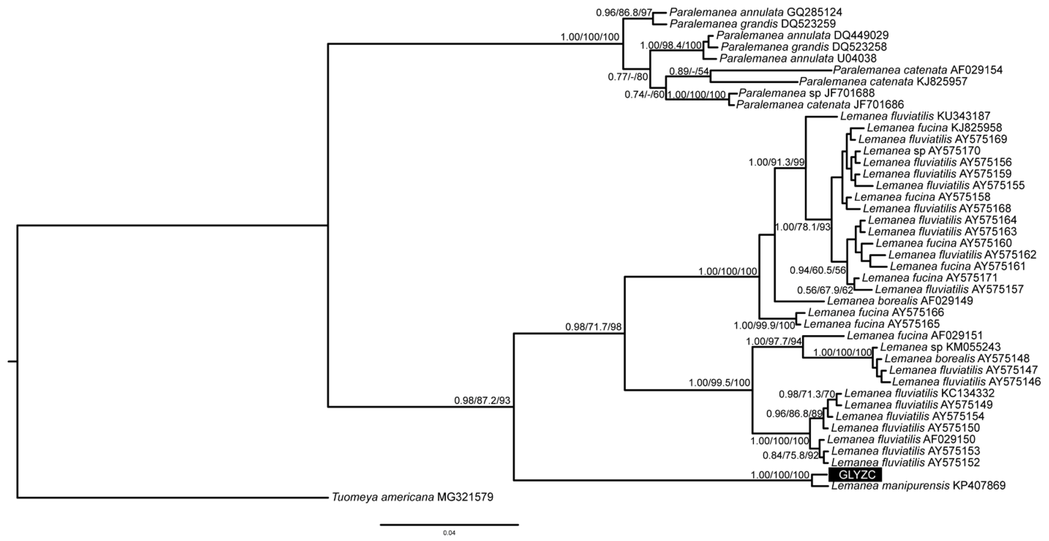 Diversity 14 00479 g003
