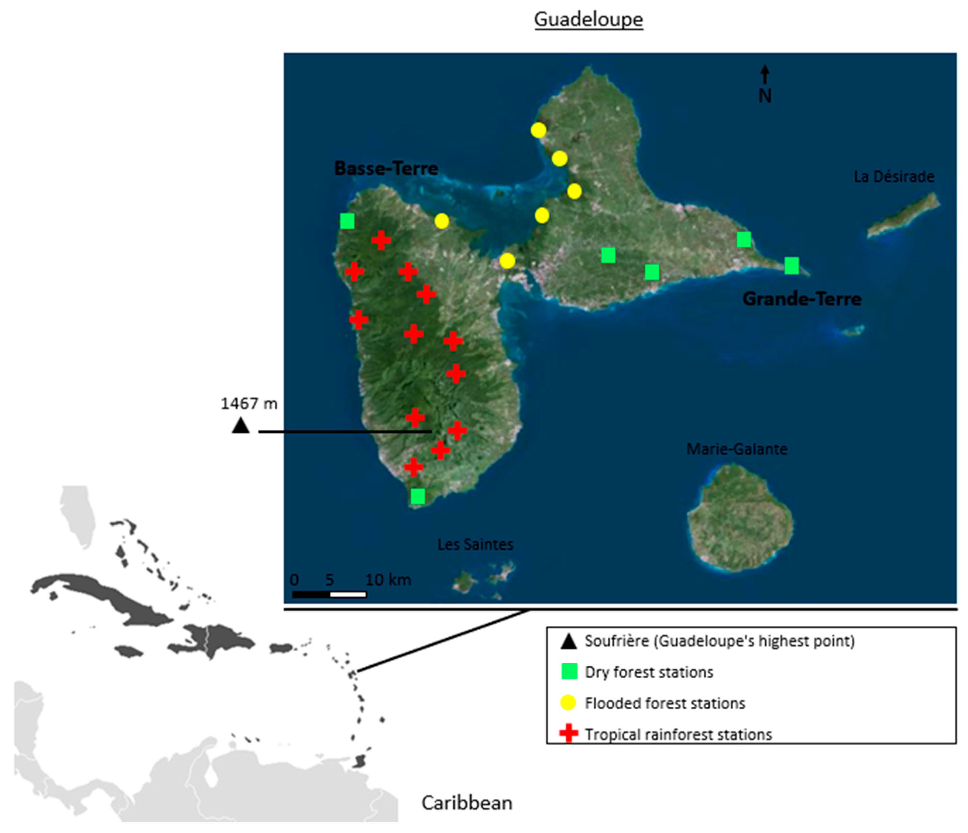 Diversity 14 00480 g001
