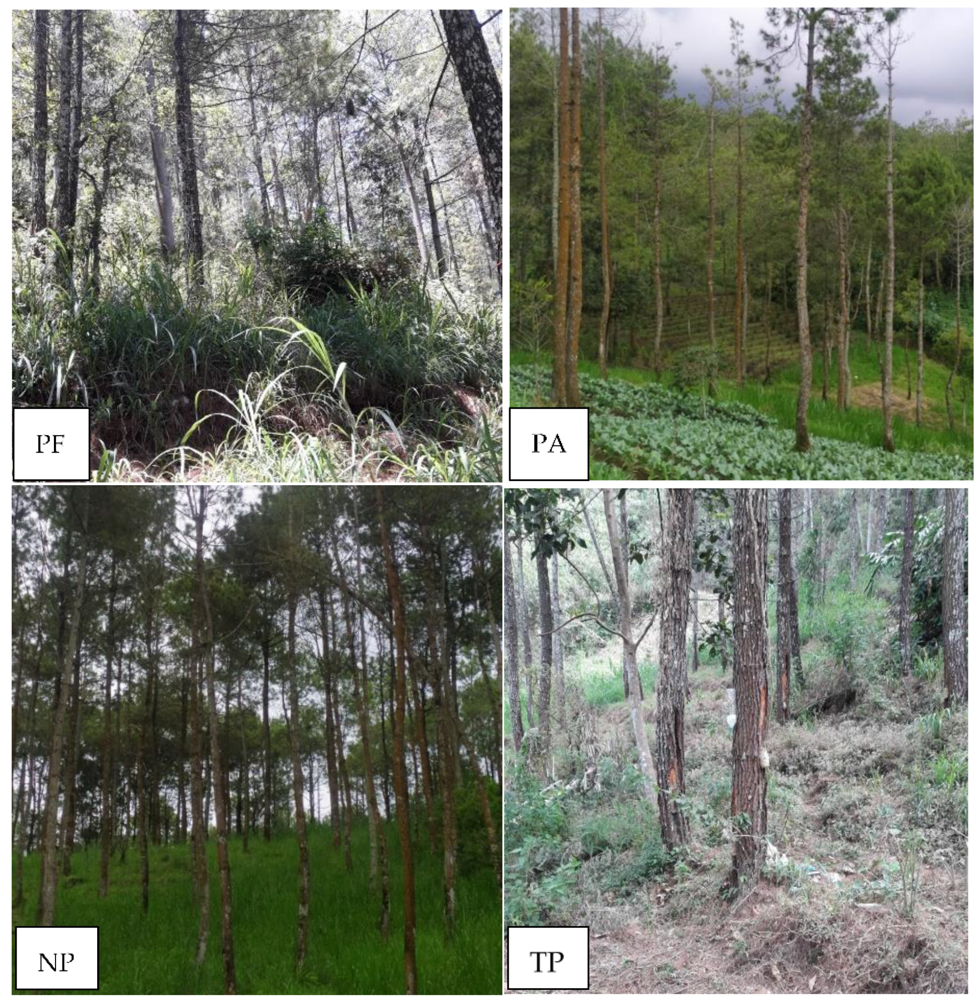 Diversity 14 00484 g002