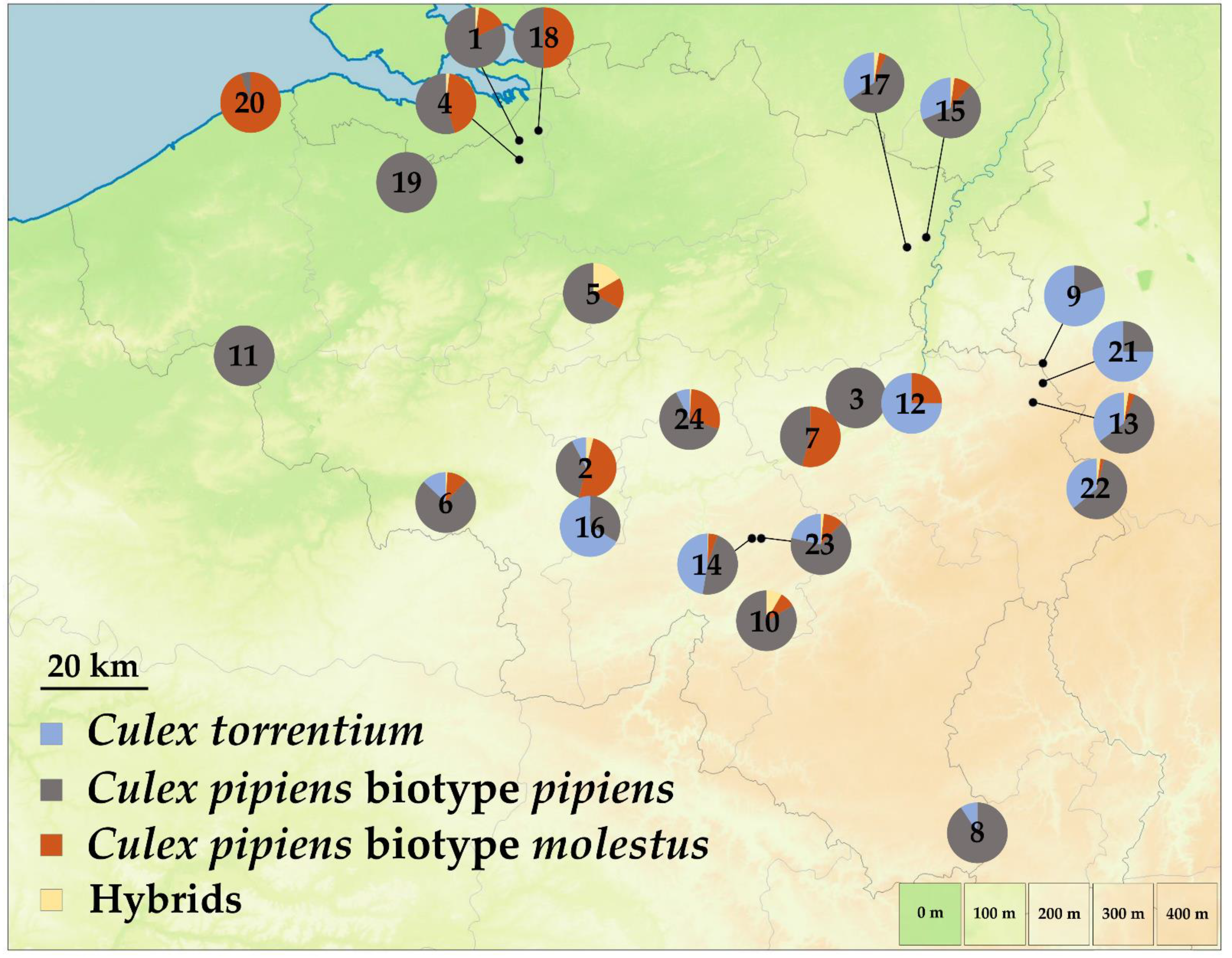 Diversity 14 00486 g001