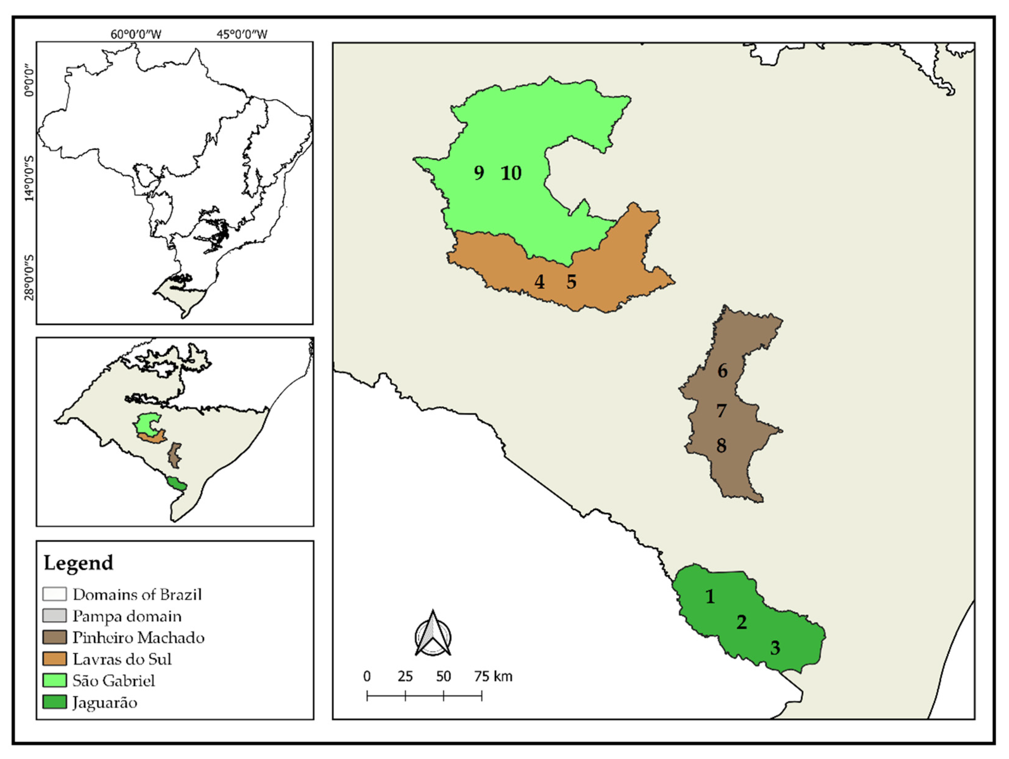 Diversity 14 00490 g001