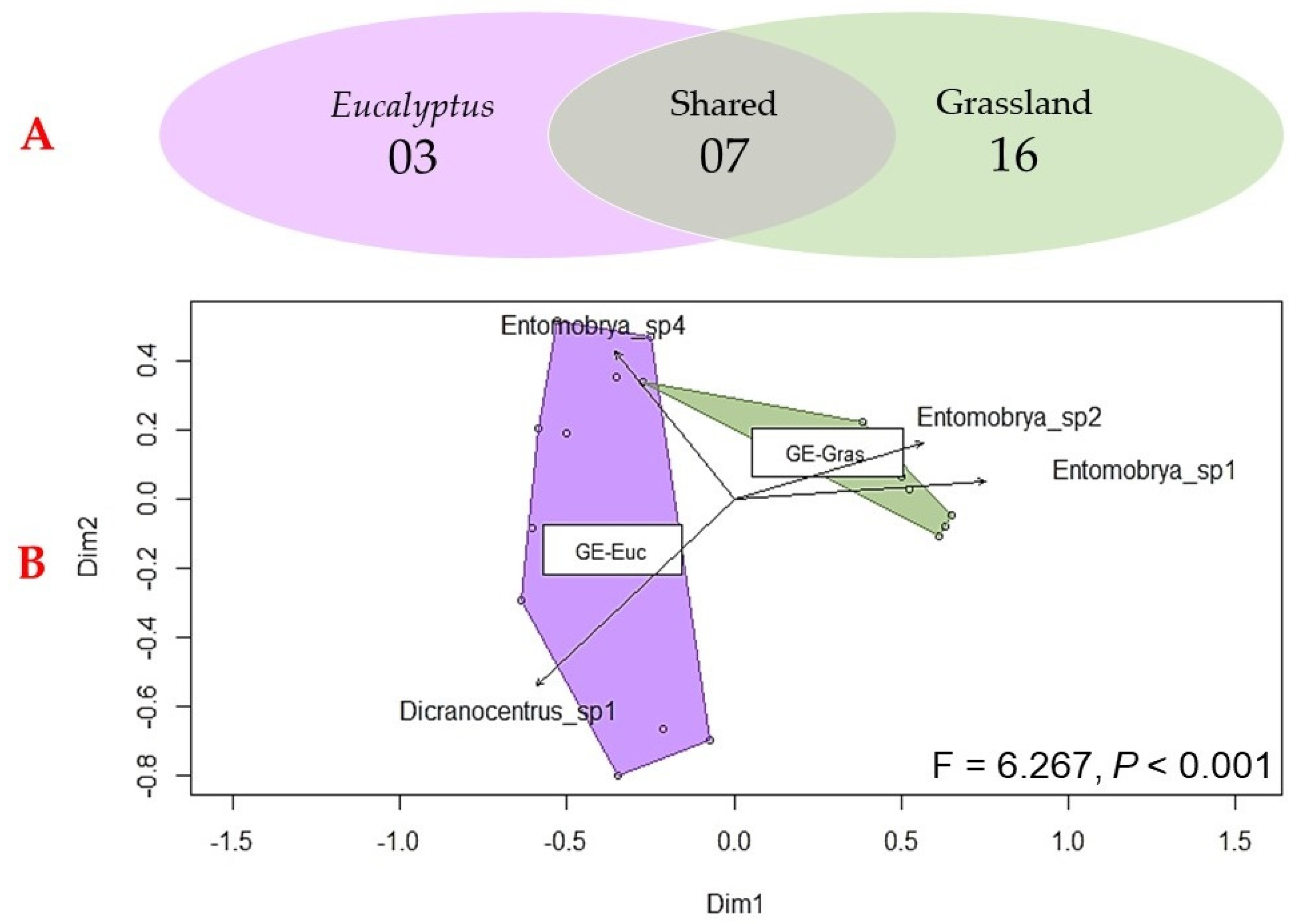 Diversity 14 00490 g002