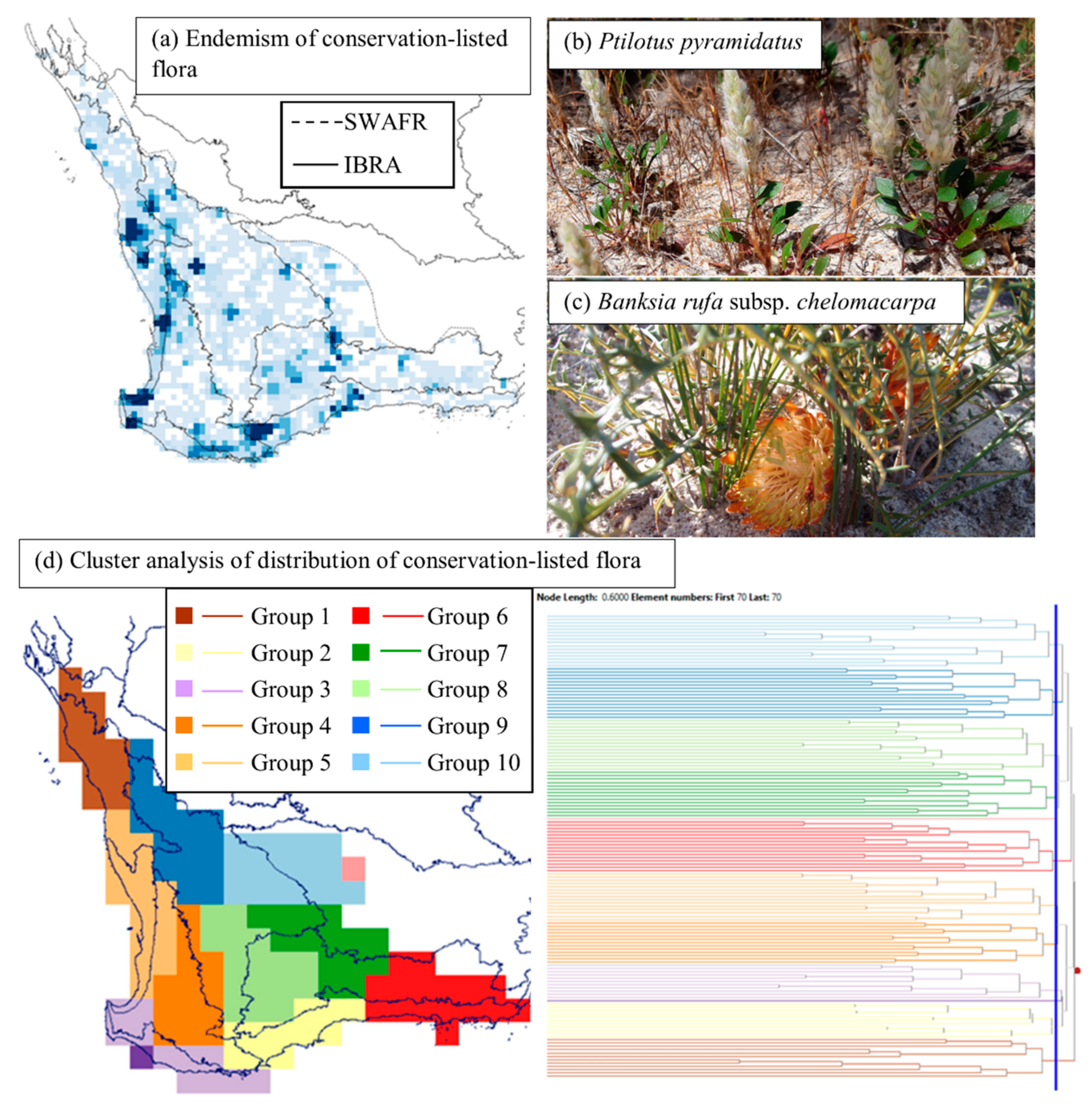 Diversity 14 00493 g004