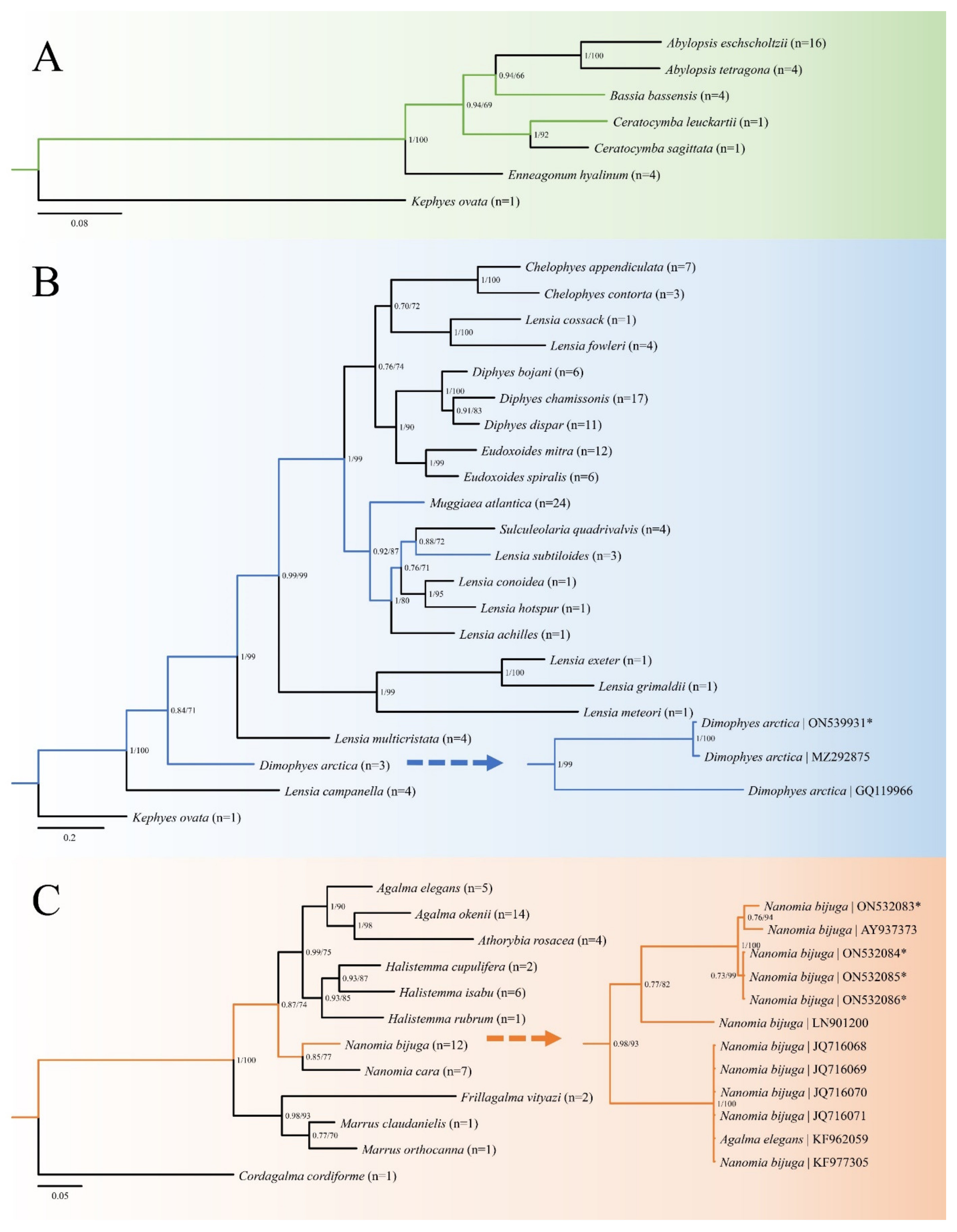 Diversity 14 00494 g005 Diversity 14 00494 g005