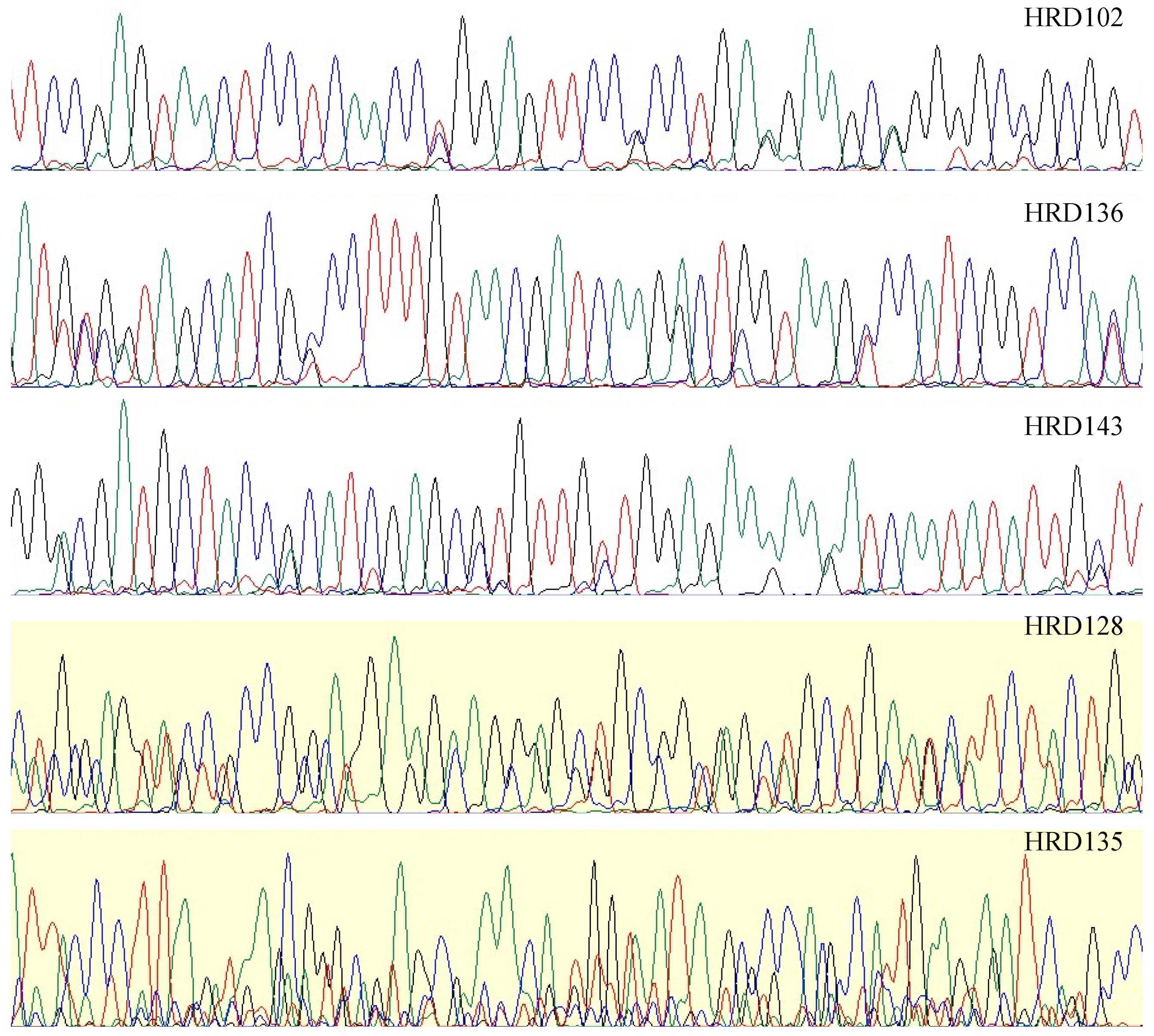 Diversity 14 00495 g002 550