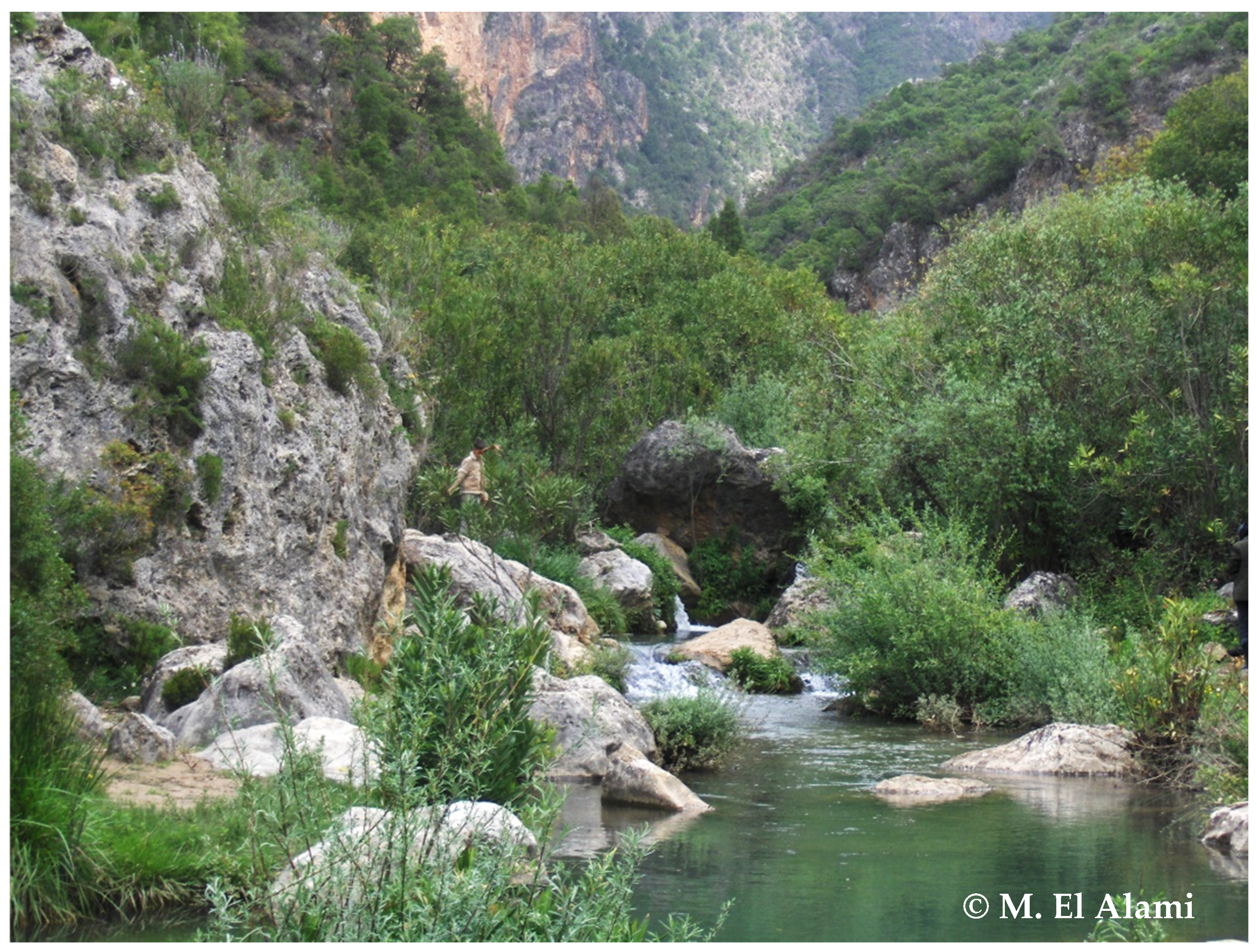 Diversity 14 00498 g003