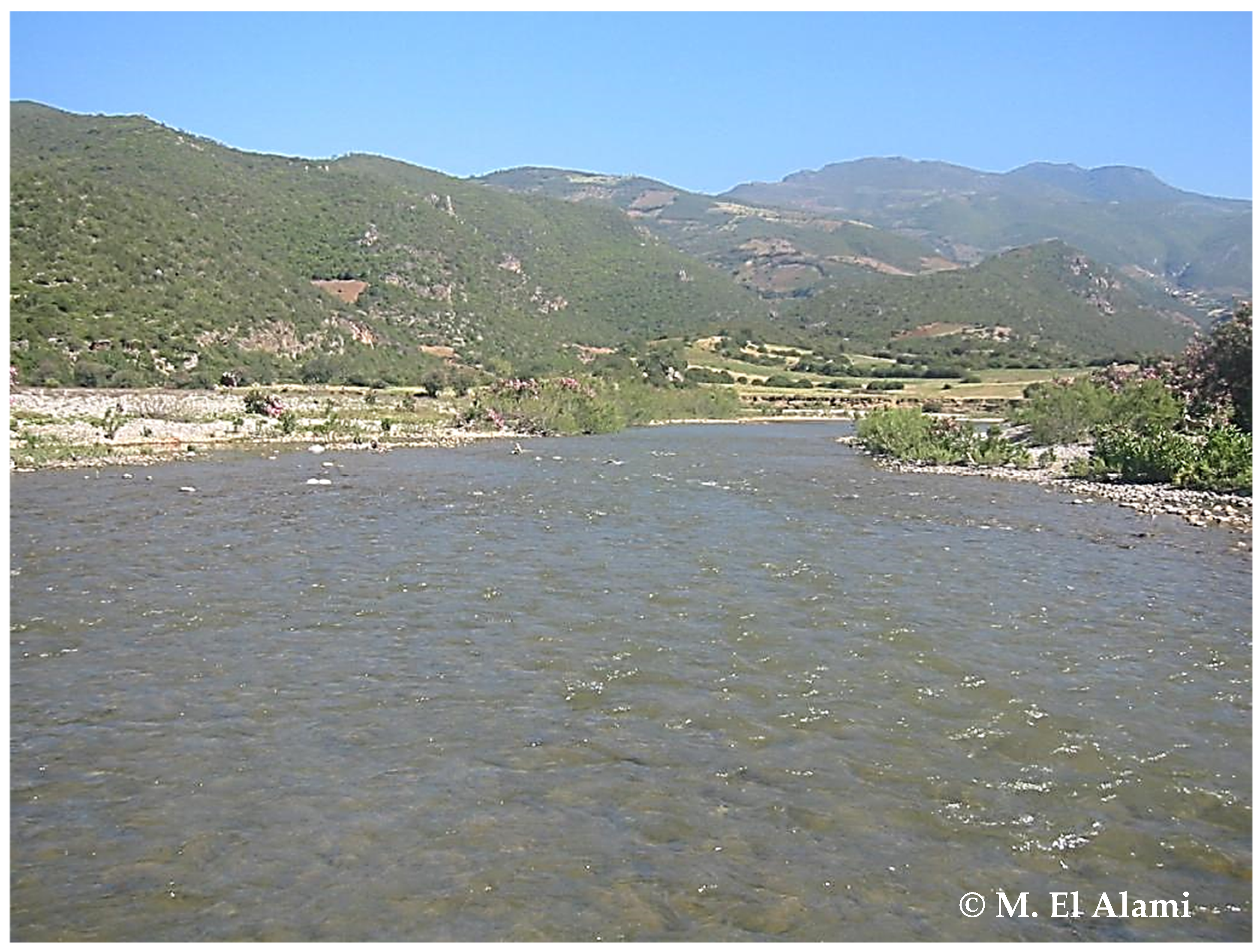 Diversity 14 00498 g004