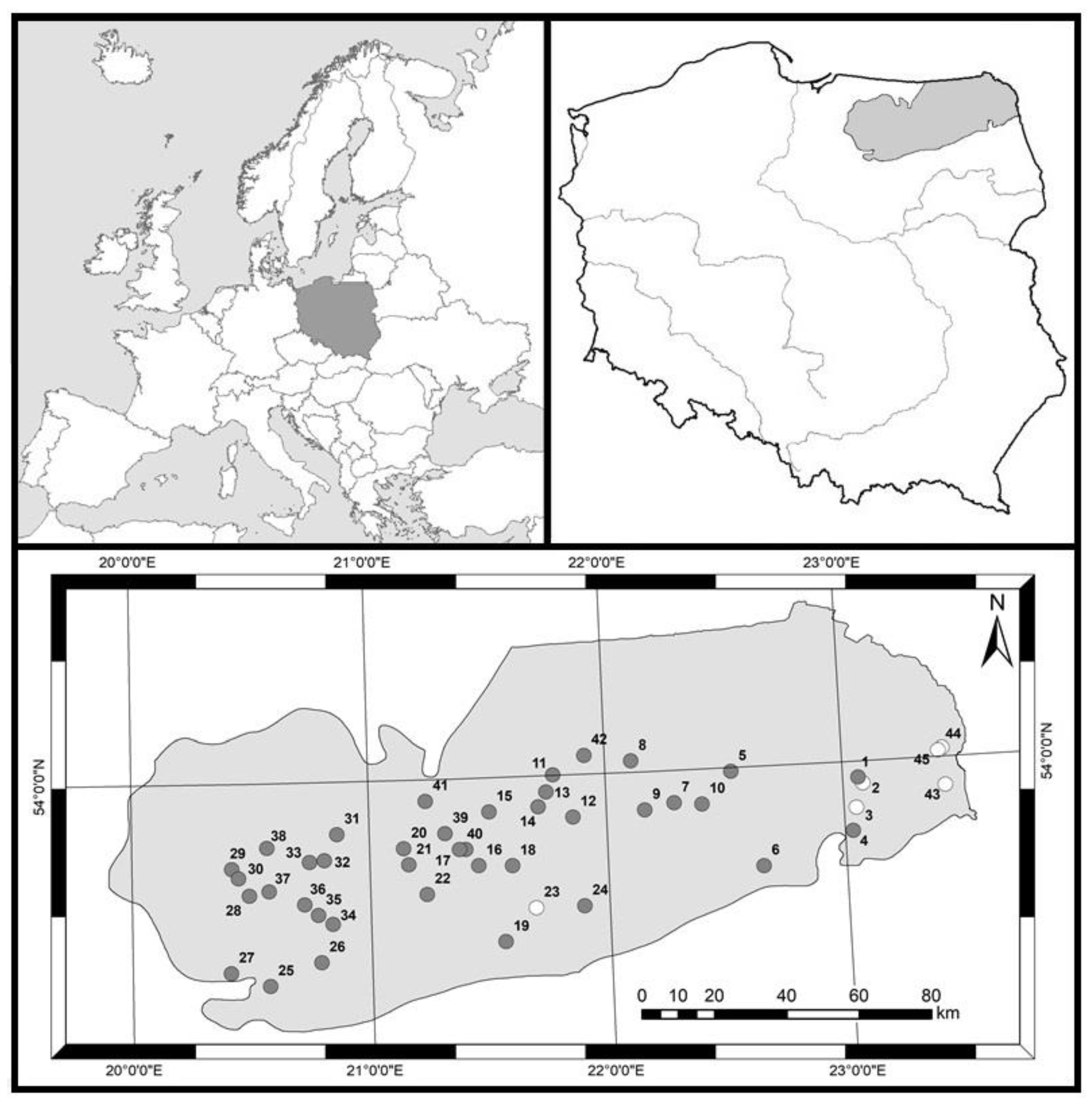 Diversity 14 00501 g001 550