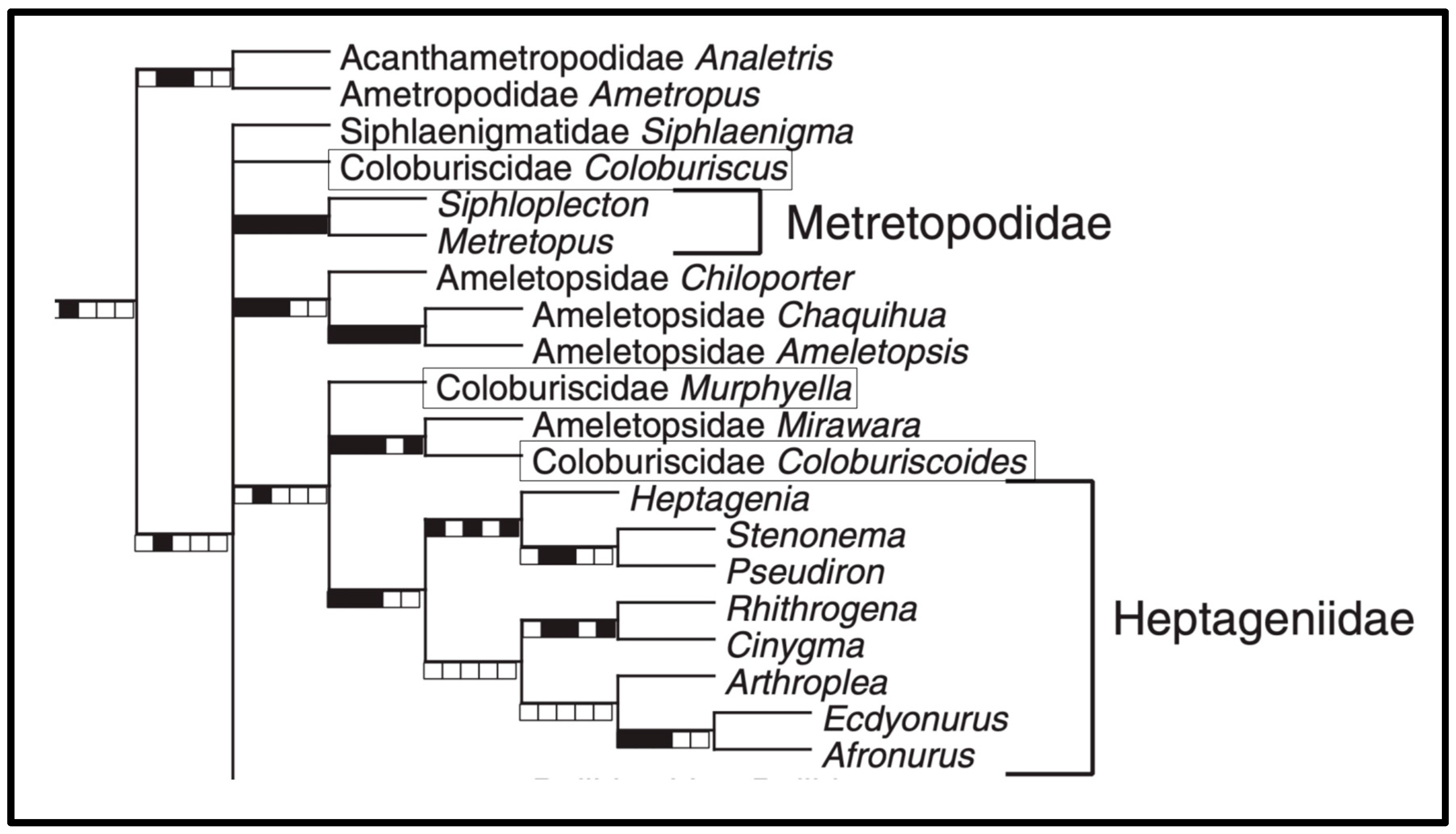 Diversity 14 00505 g001 550
