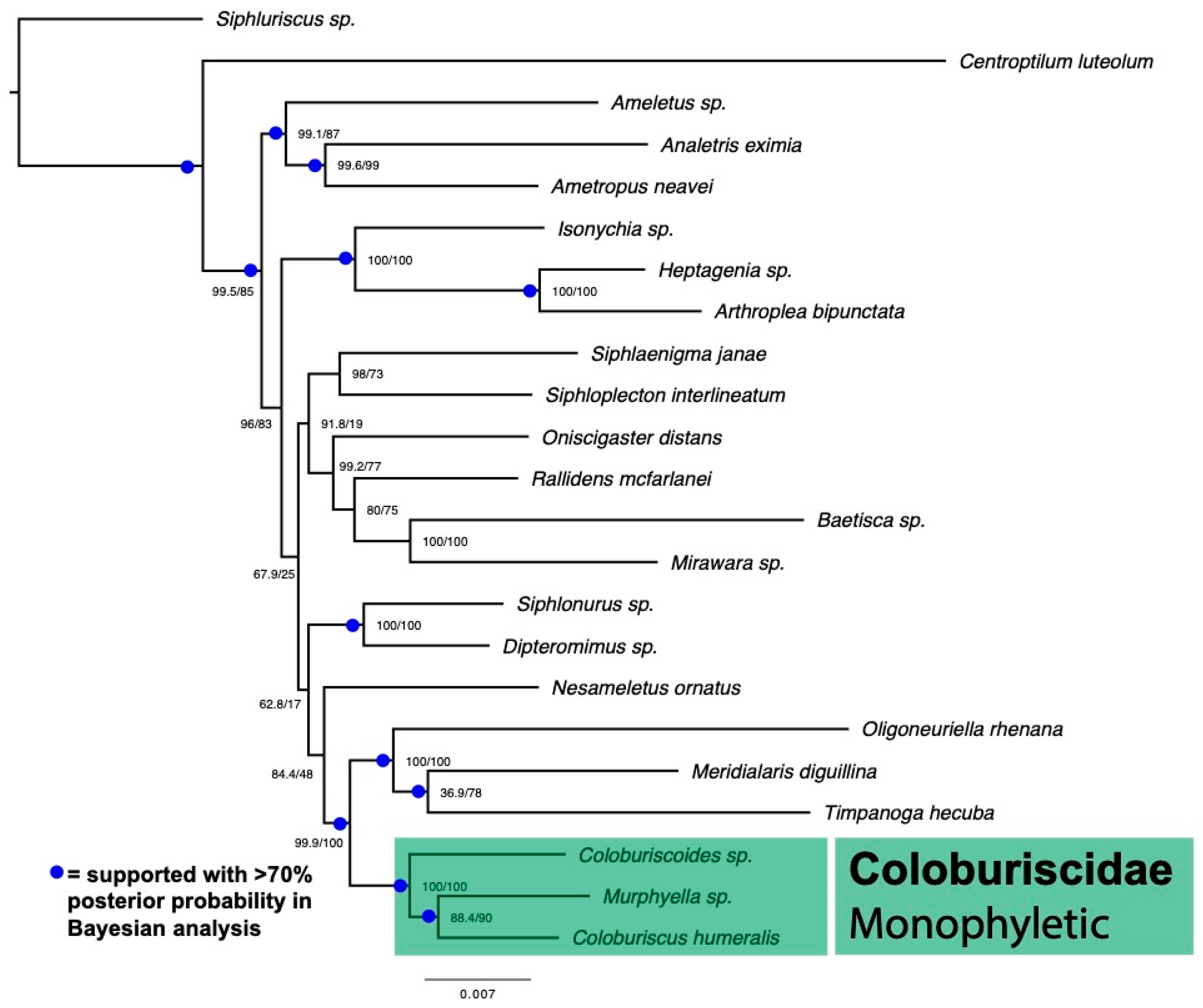 Diversity 14 00505 g003 550