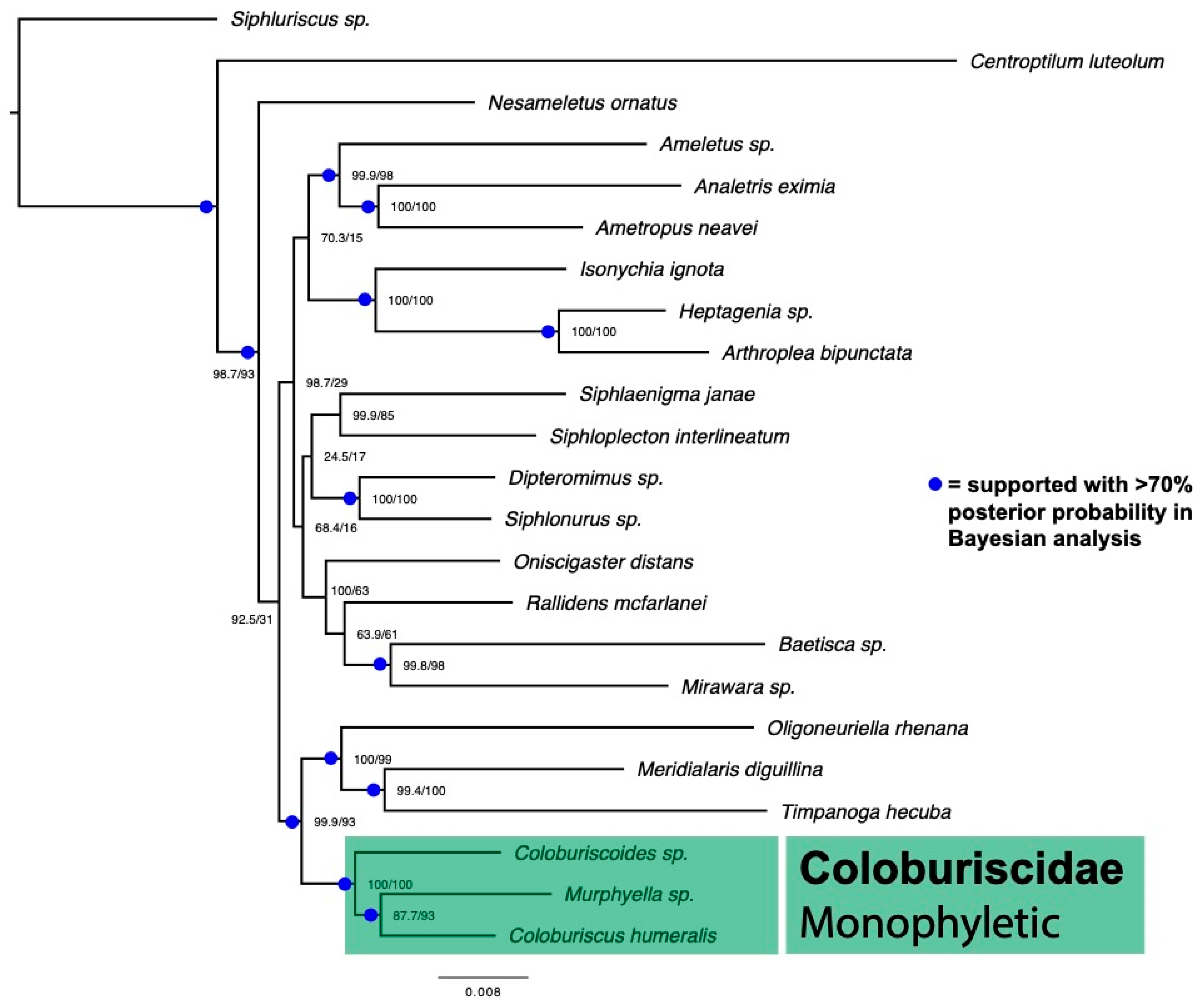 Diversity 14 00505 g004 550
