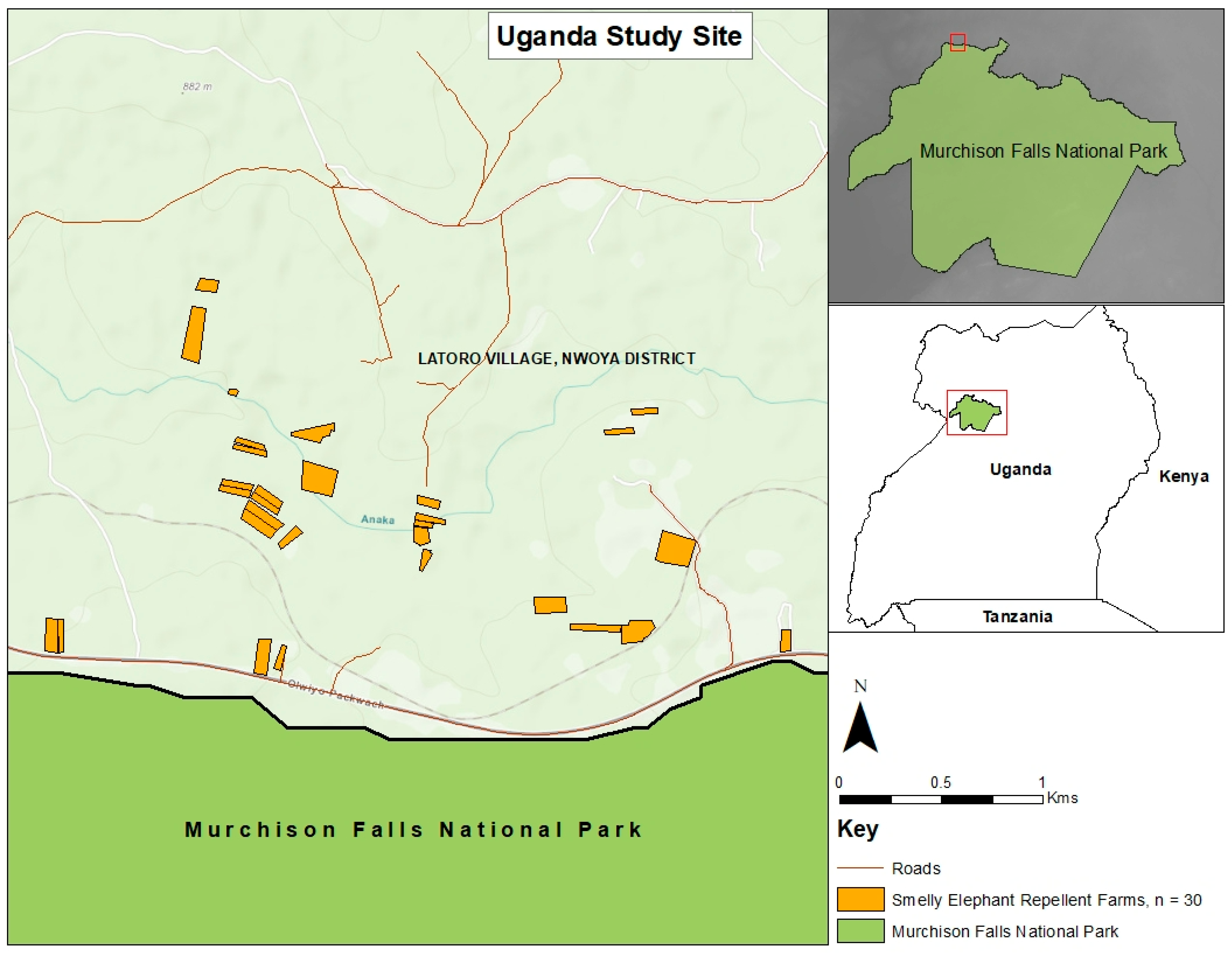 Diversity 14 00509 g001
