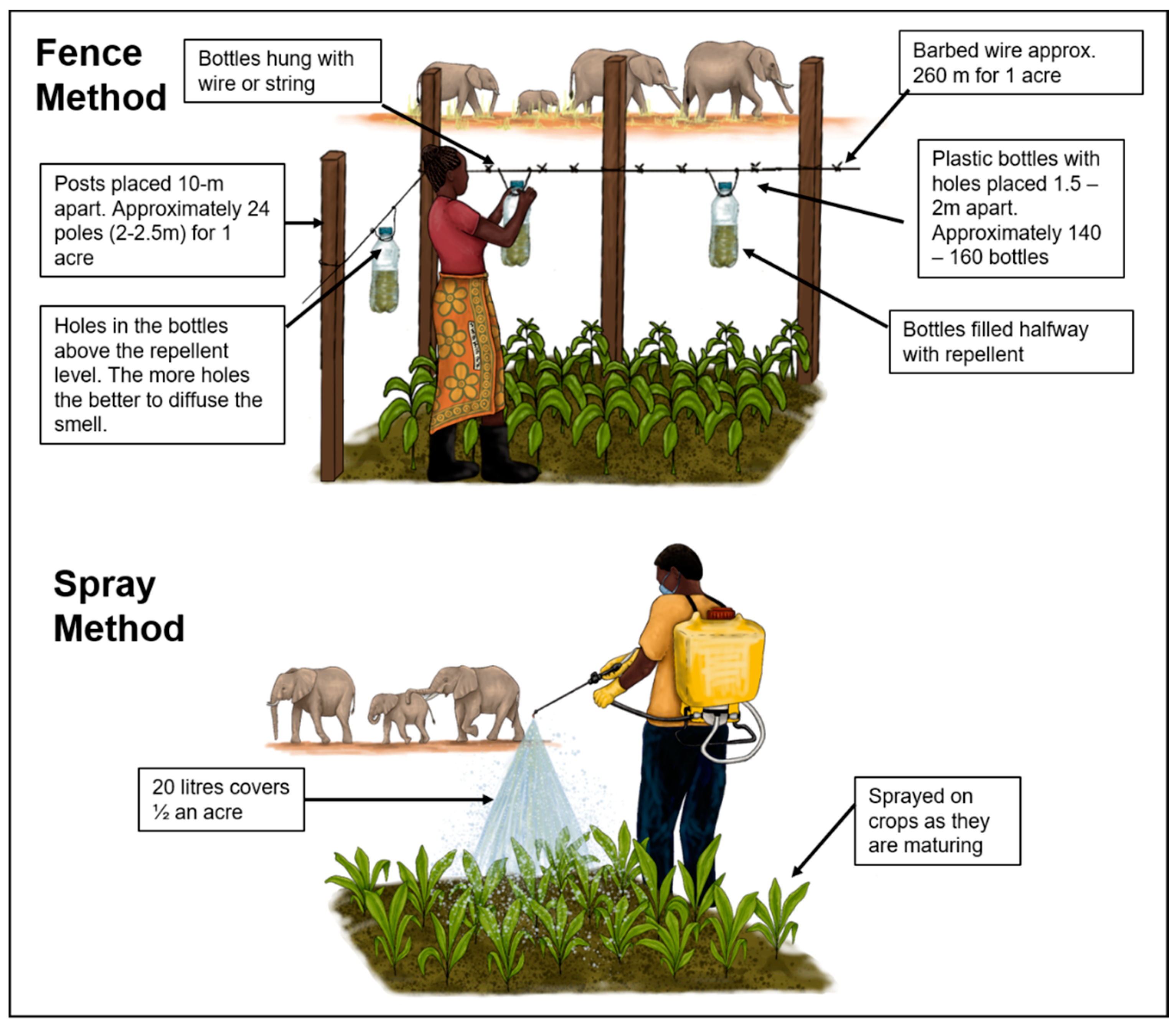 Diversity 14 00509 g003