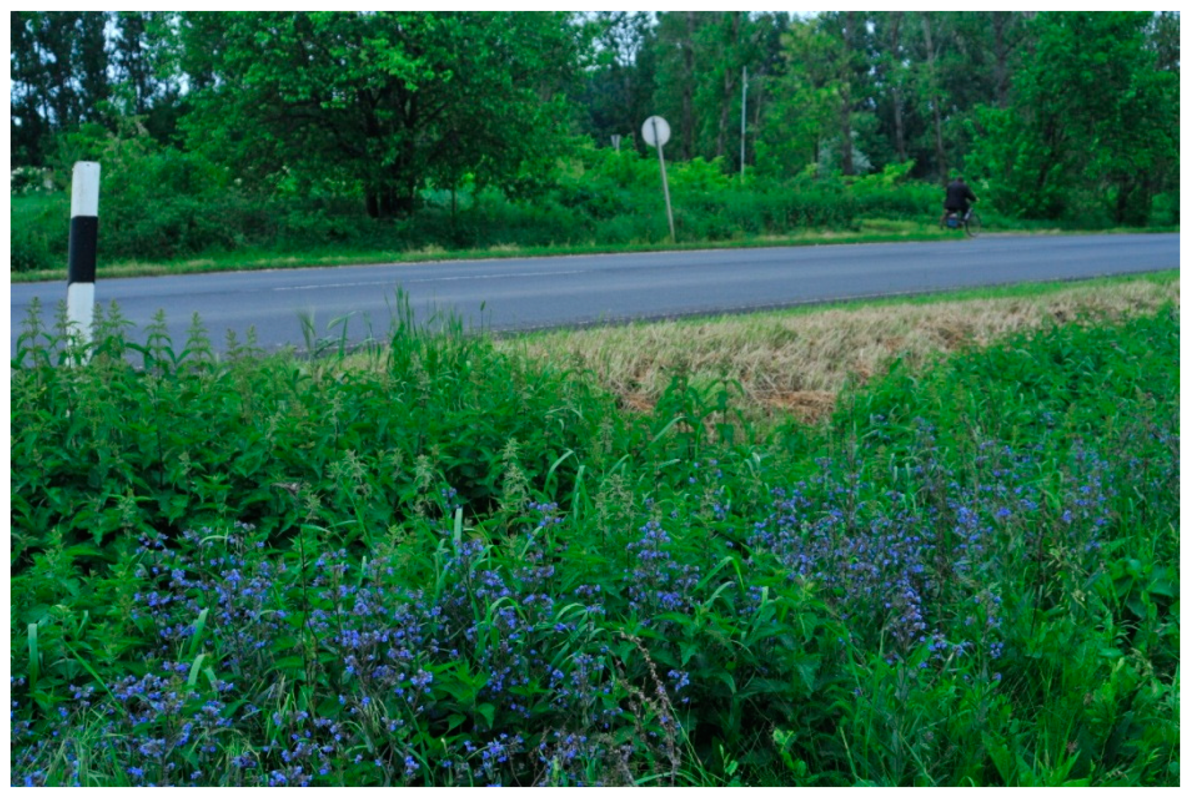 Diversity 14 00510 g007 550