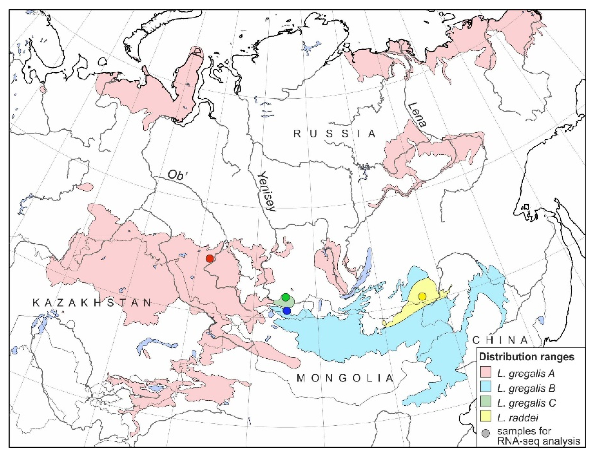 Diversity 14 00512 g001