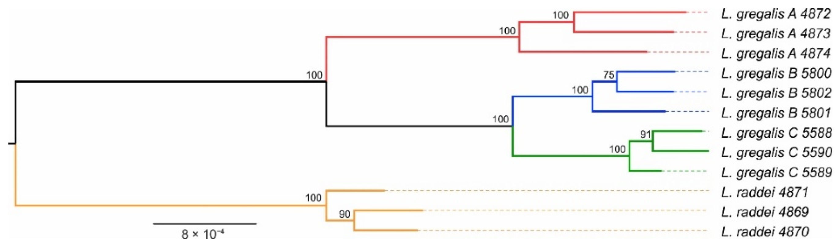 Diversity 14 00512 g002
