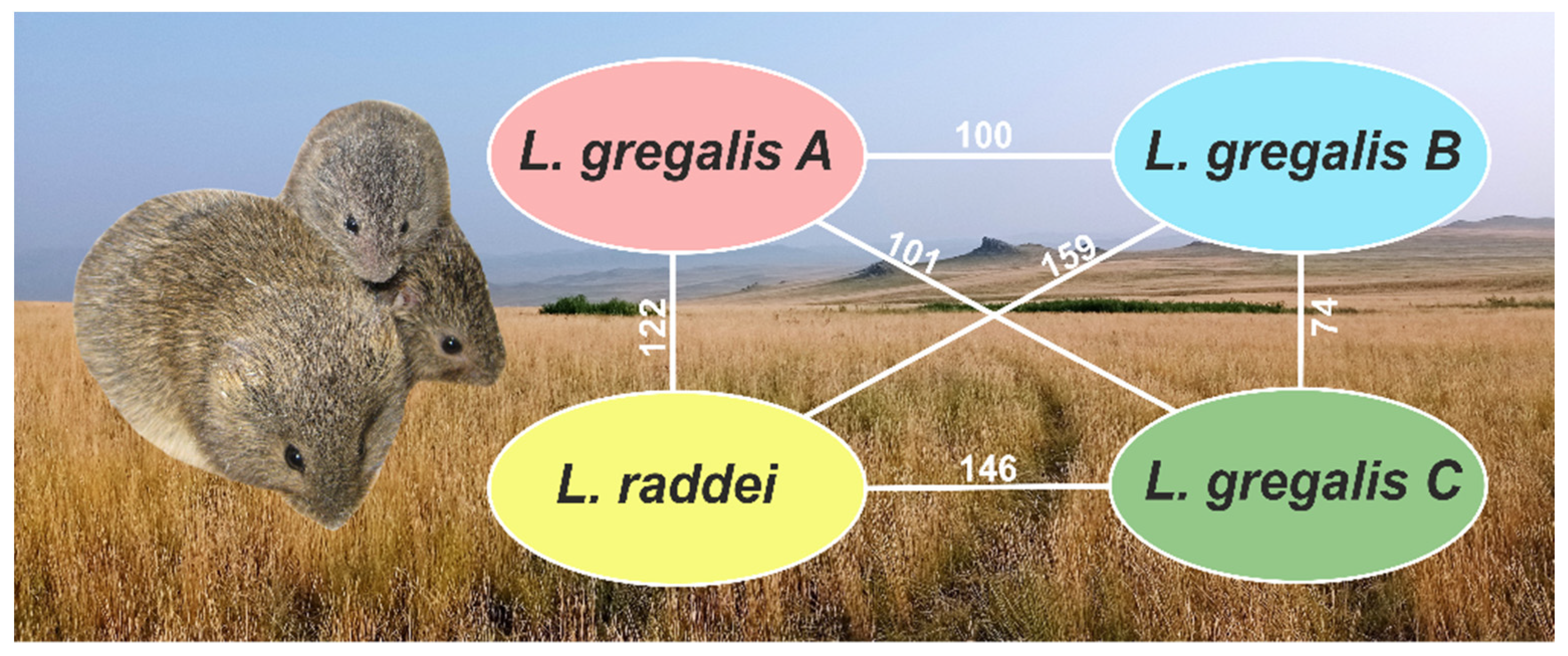 Diversity 14 00512 g003