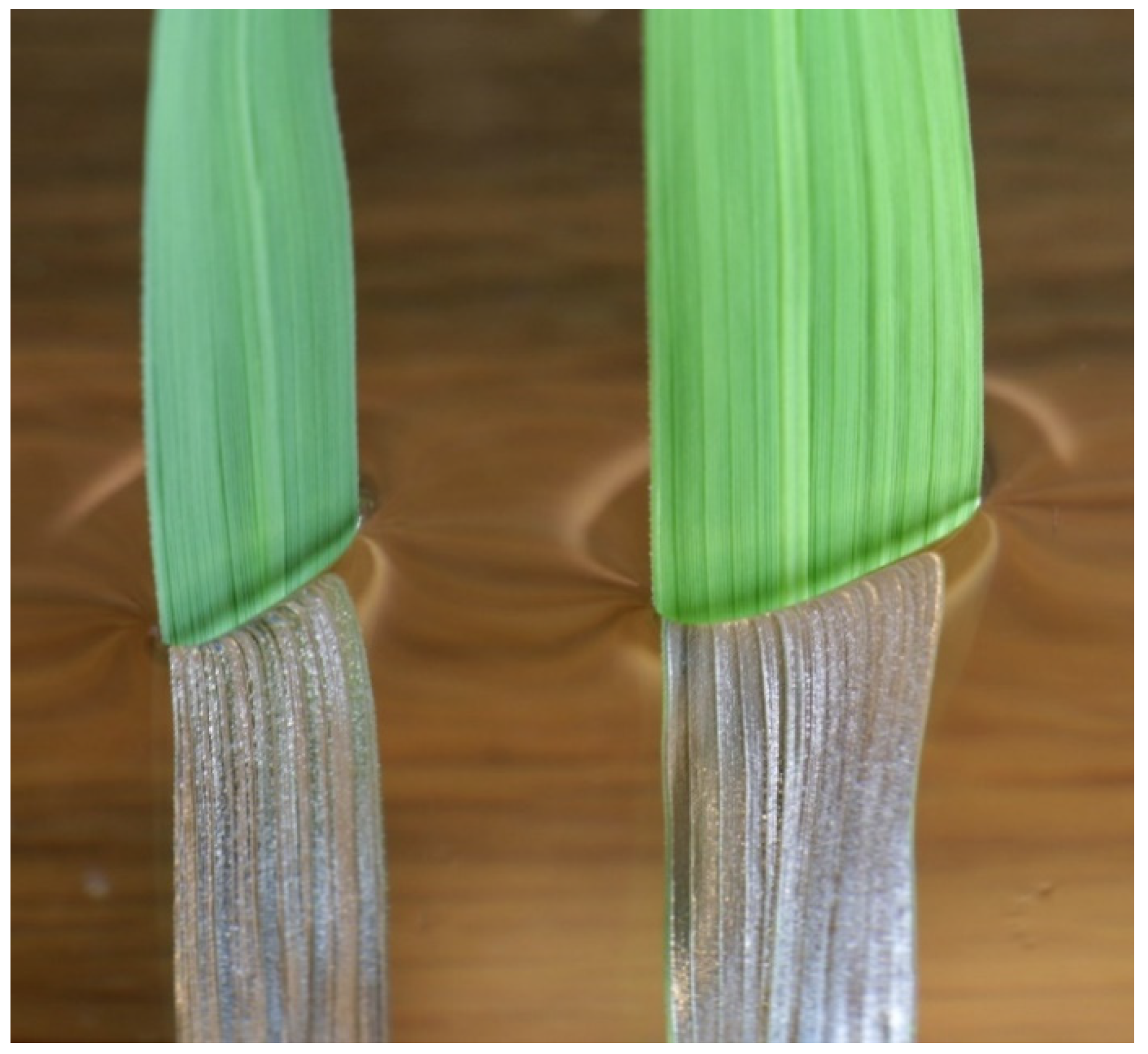 Diversity 14 00517 g009 Diversity 14 00517 g009