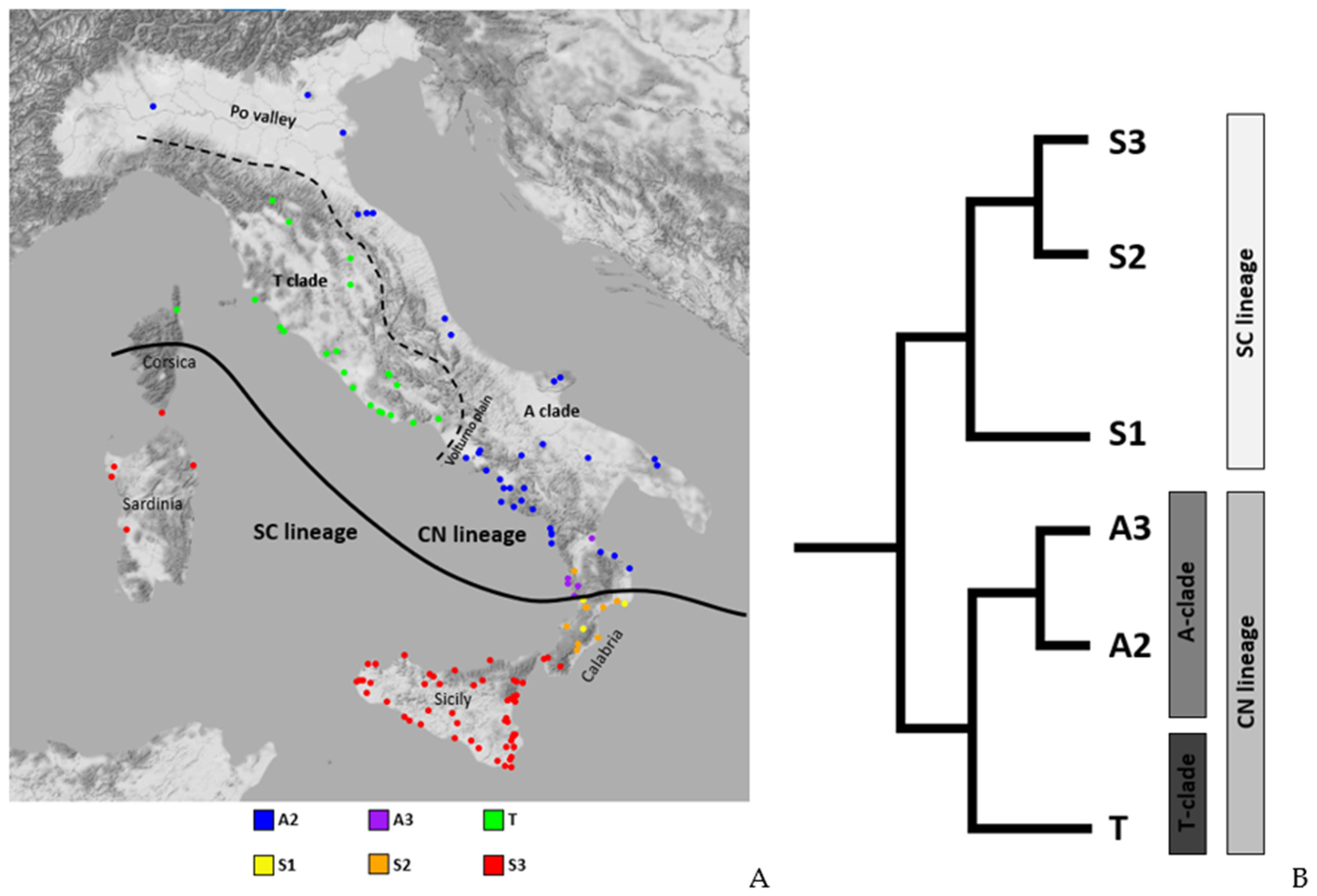 Diversity 14 00519 g002