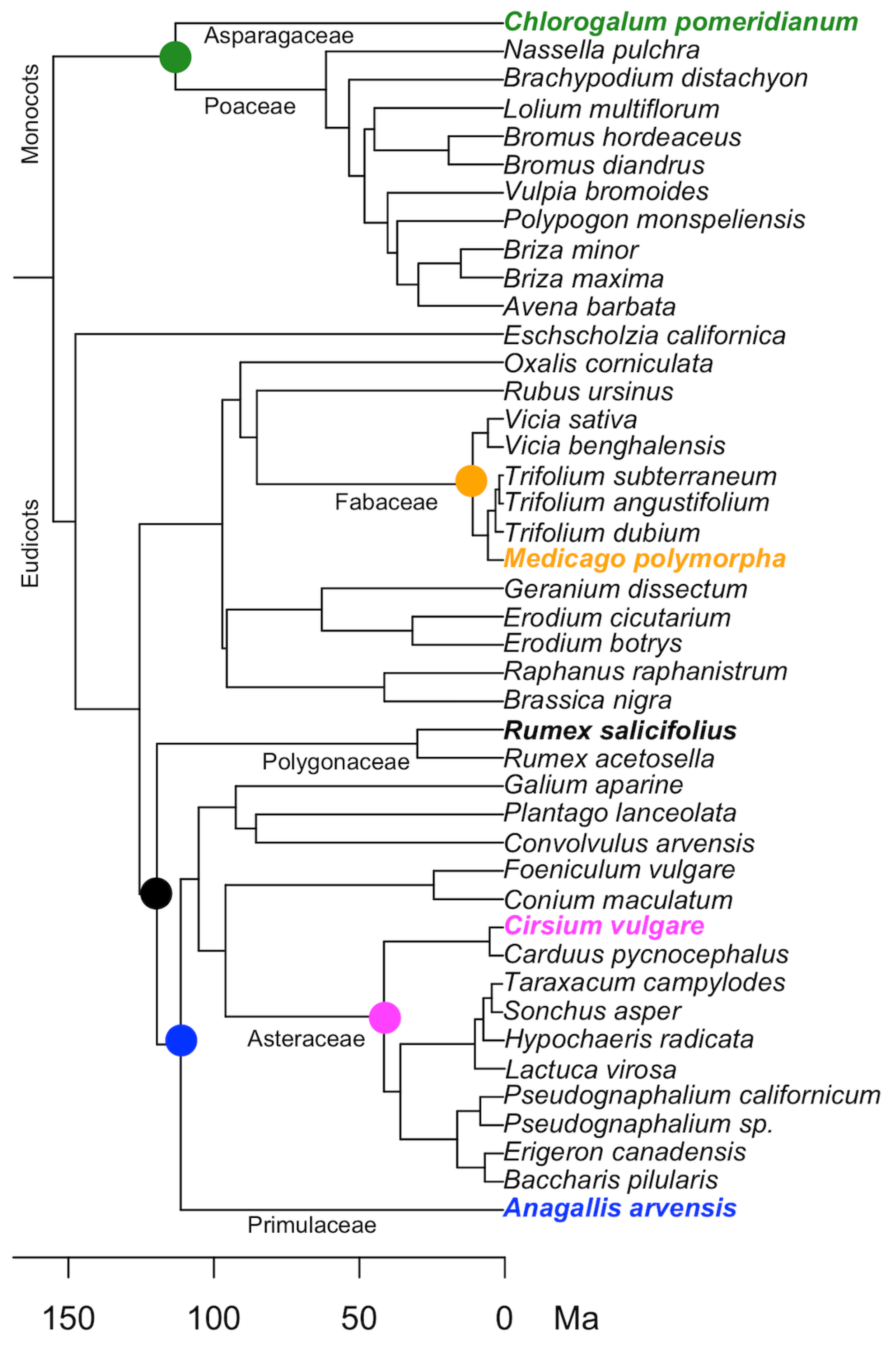 Diversity 14 00521 g001 550