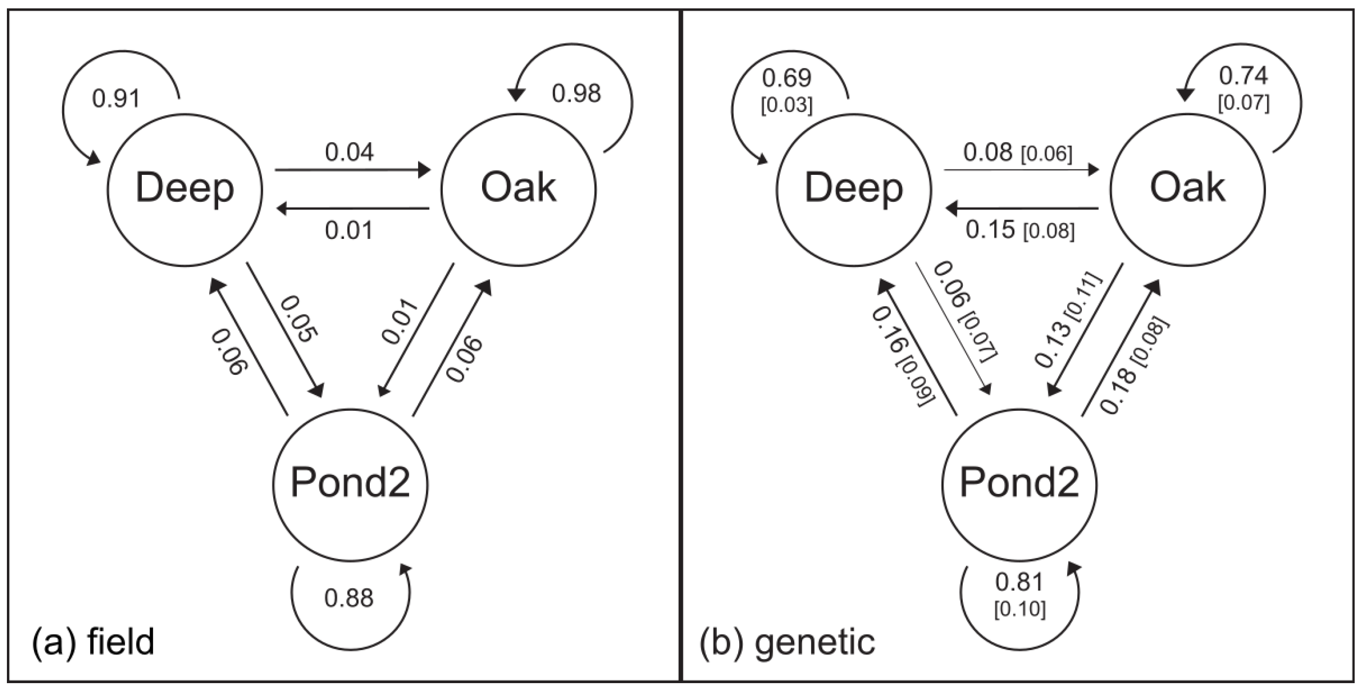 Diversity 14 00524 g001