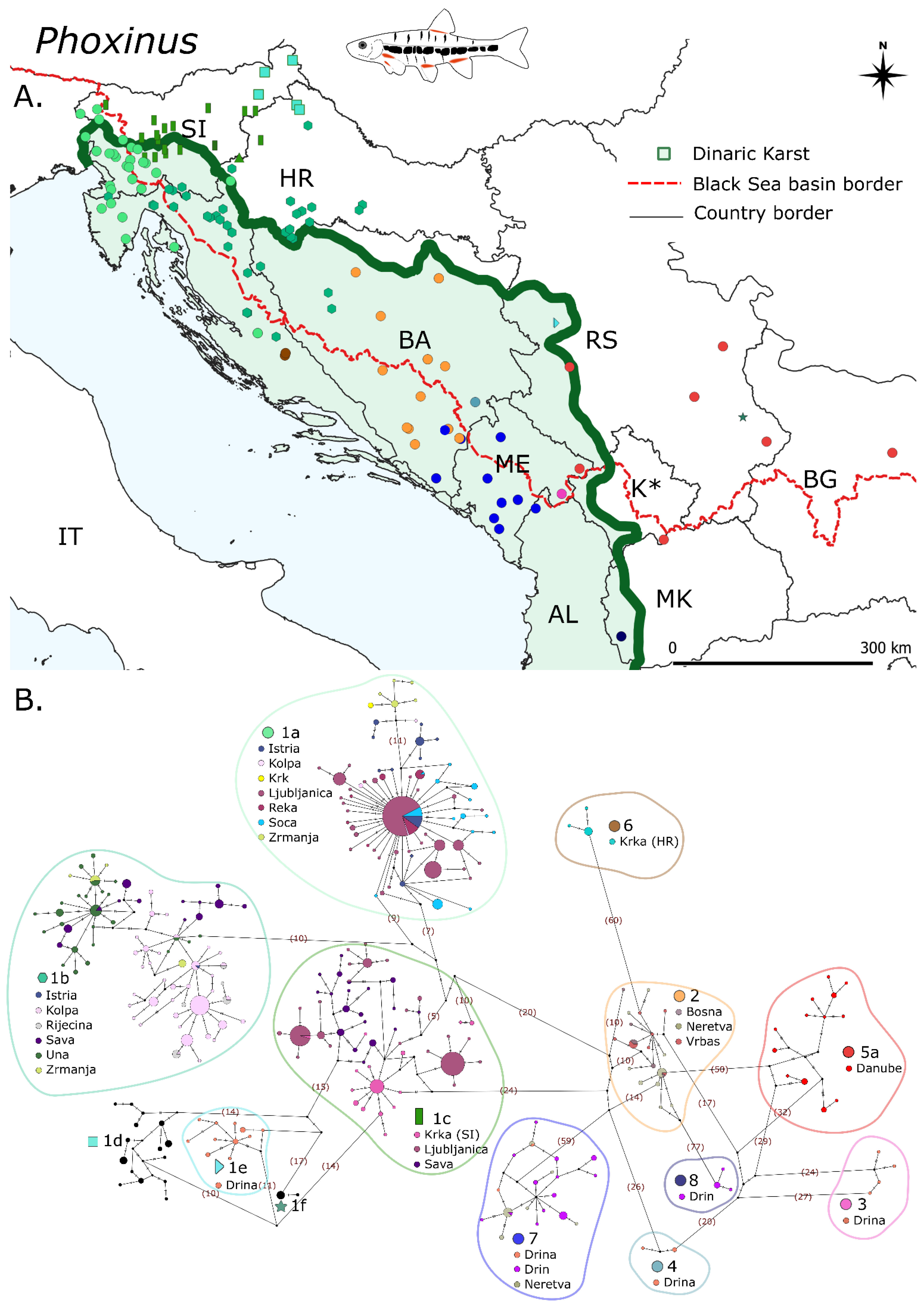 Diversity 14 00526 g003 550