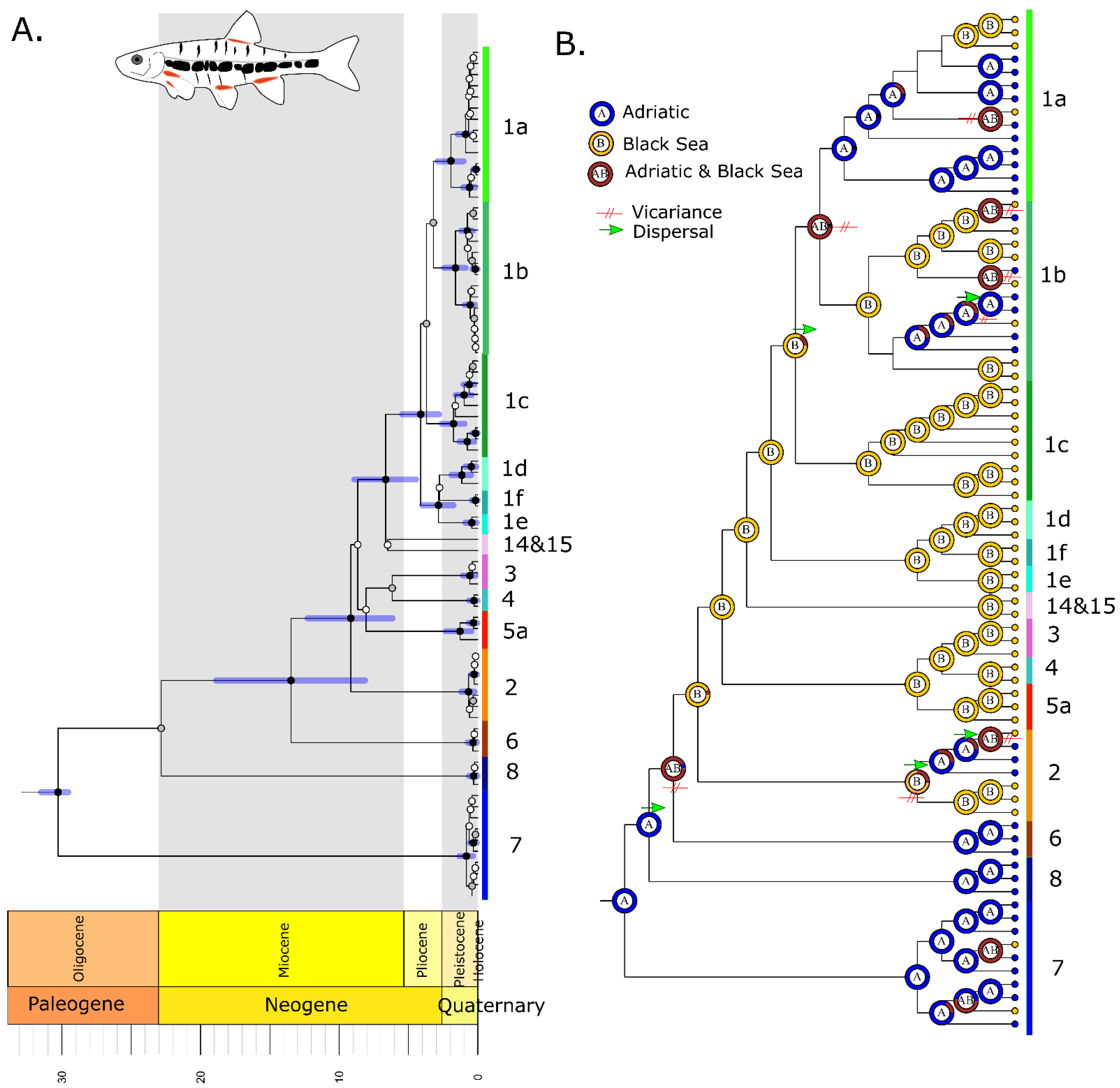 Diversity 14 00526 g004 550
