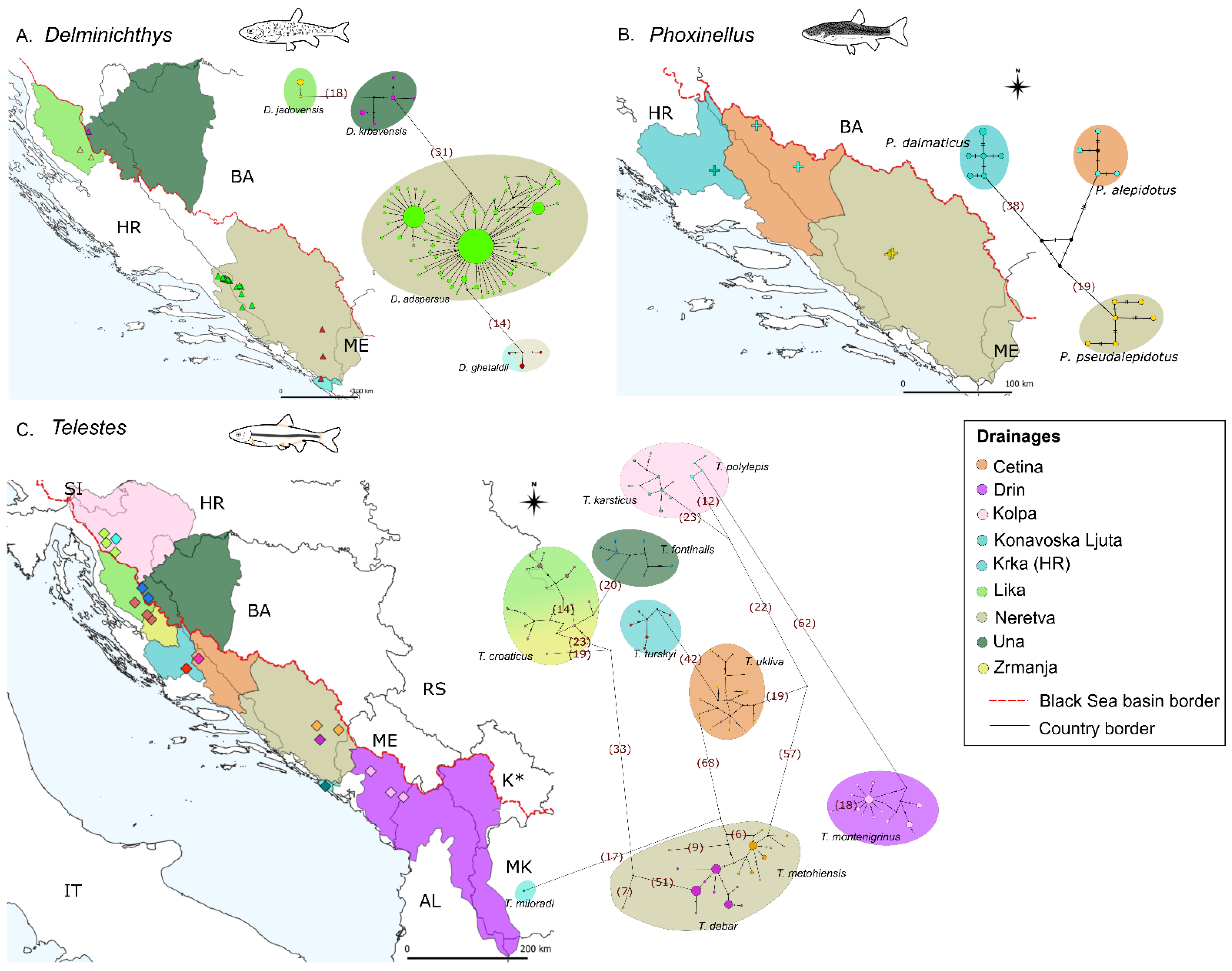 Diversity 14 00526 g005 550