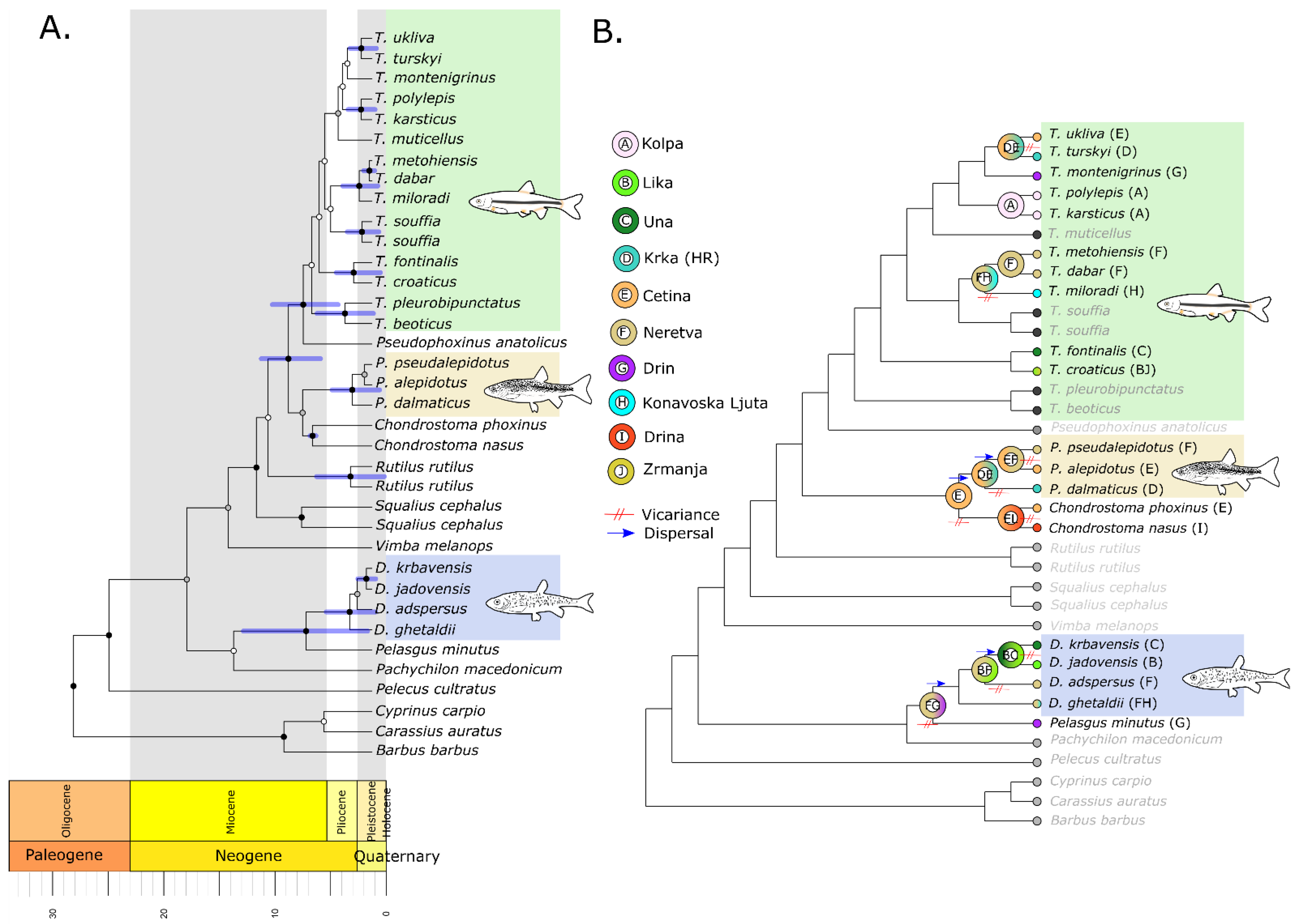 Diversity 14 00526 g006 550