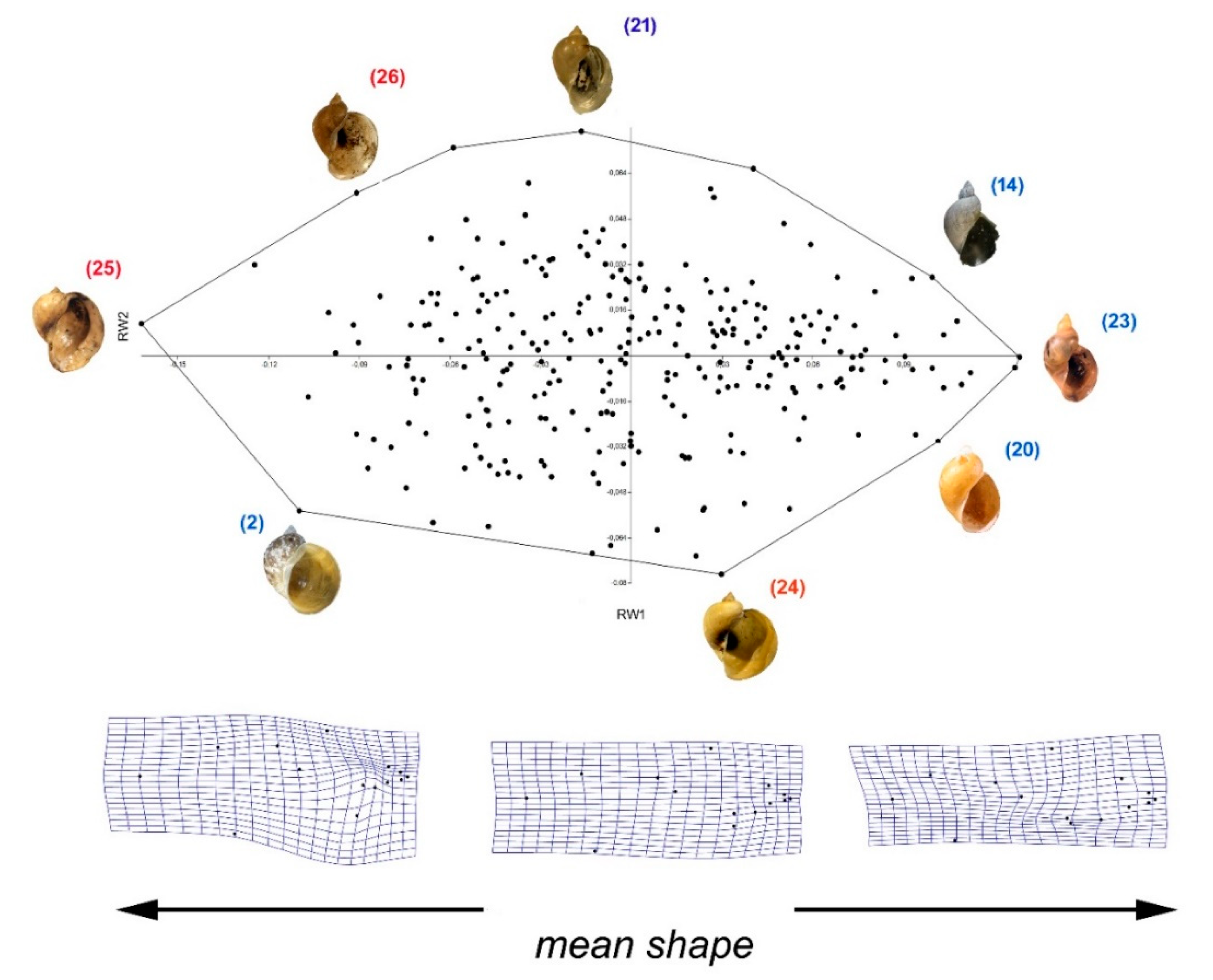 Diversity 14 00527 g011 Diversity 14 00527 g011