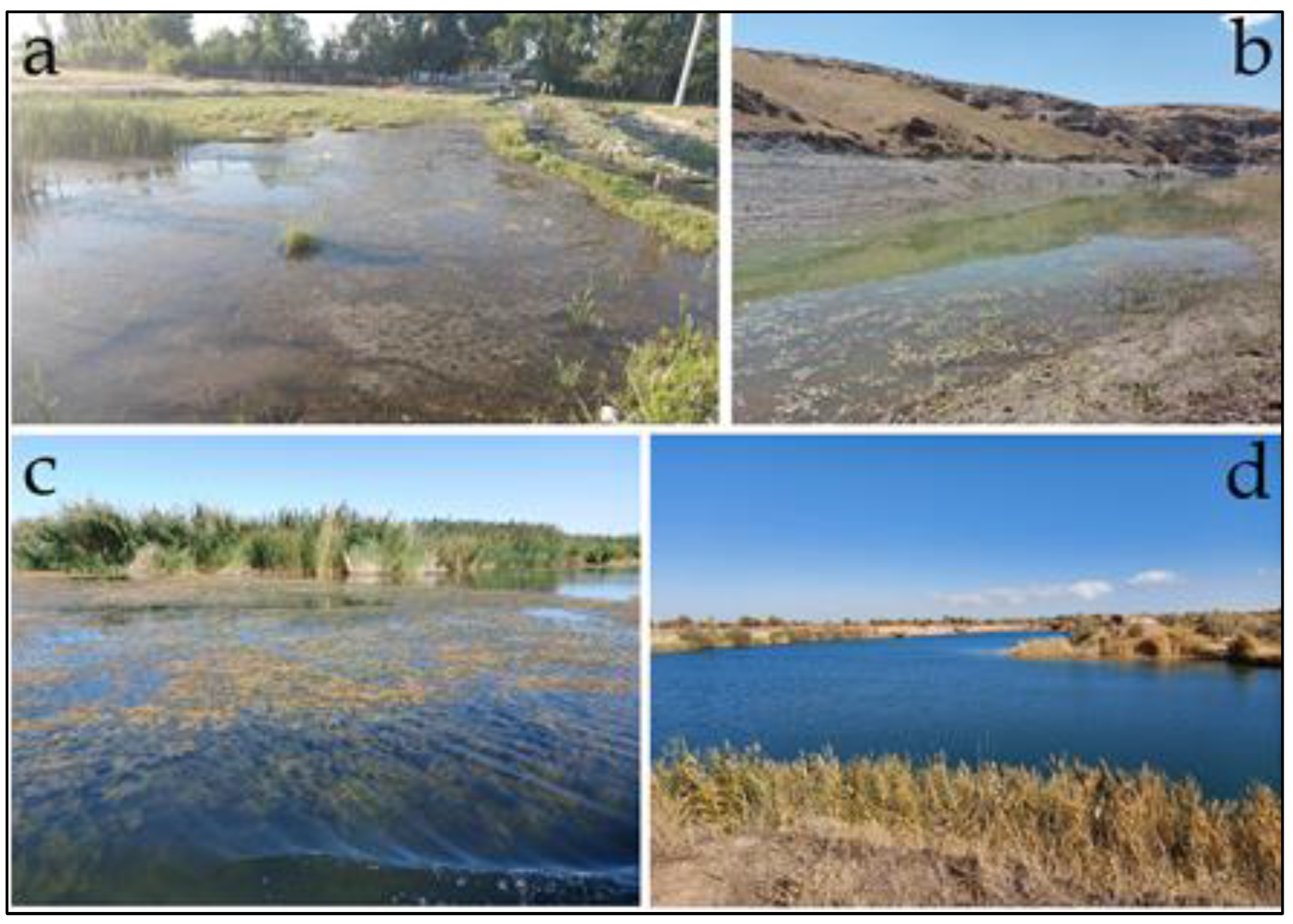 Diversity 14 00530 g002