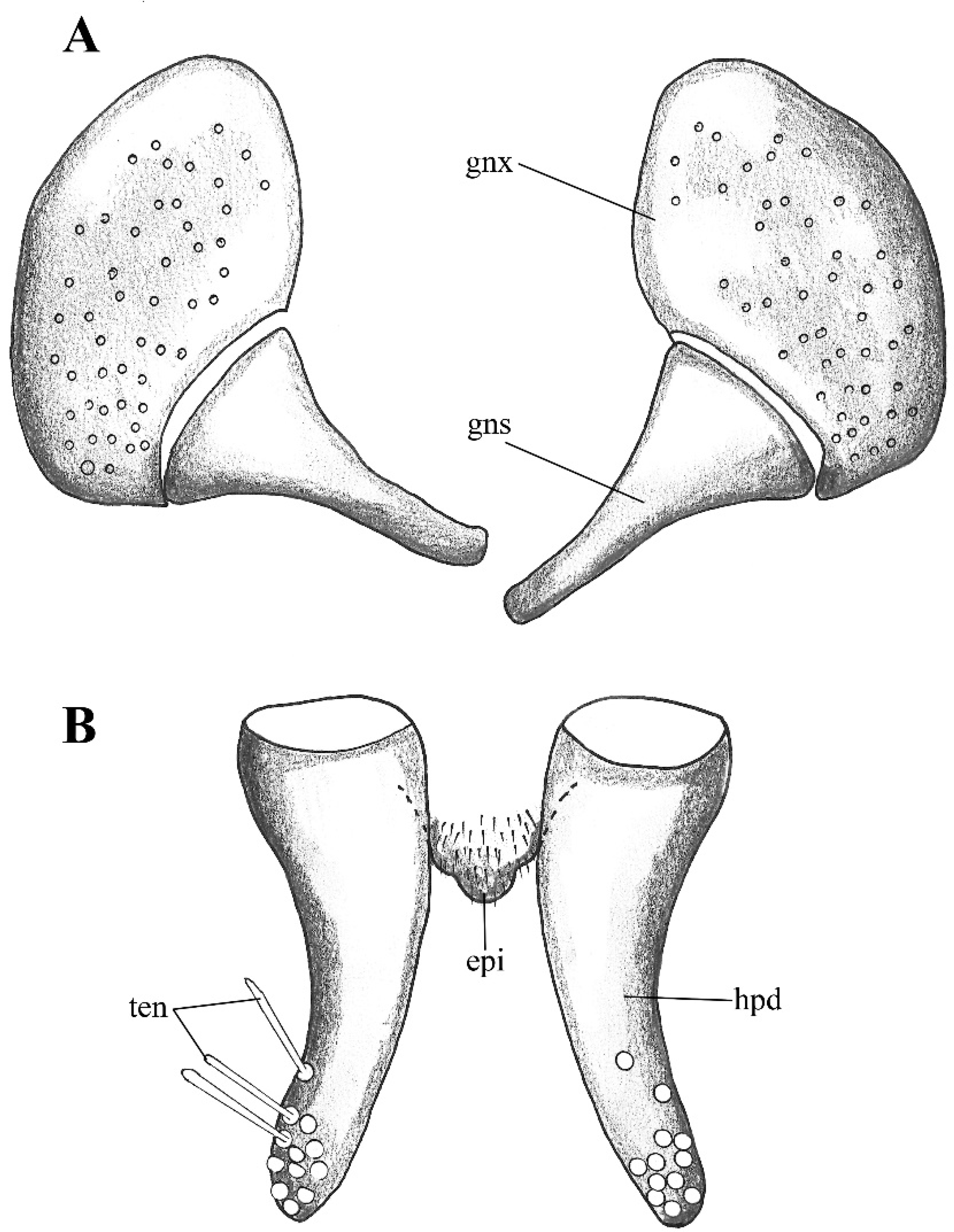 Diversity 14 00532 g002 Diversity 14 00532 g002