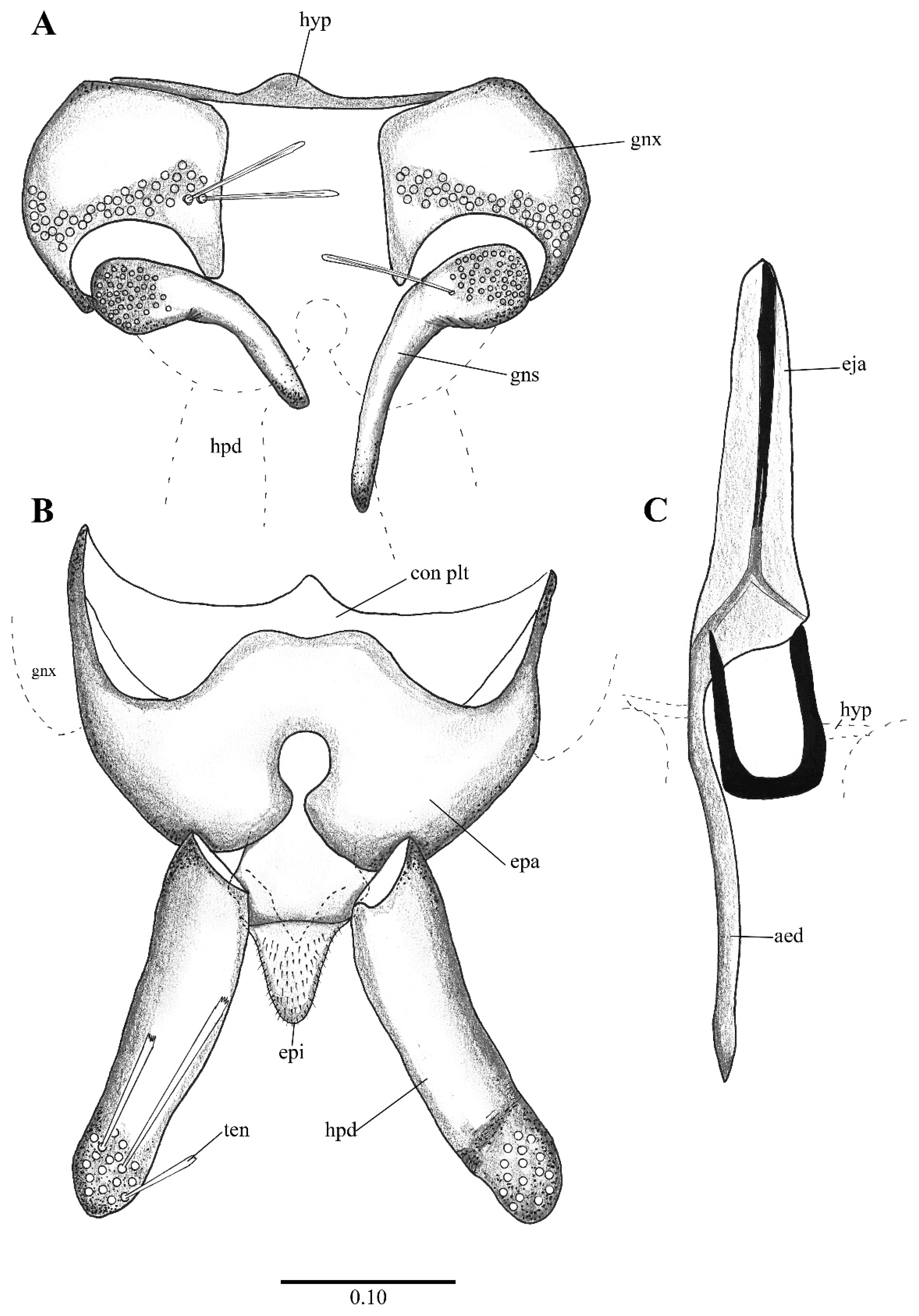 Diversity 14 00532 g007 Diversity 14 00532 g007