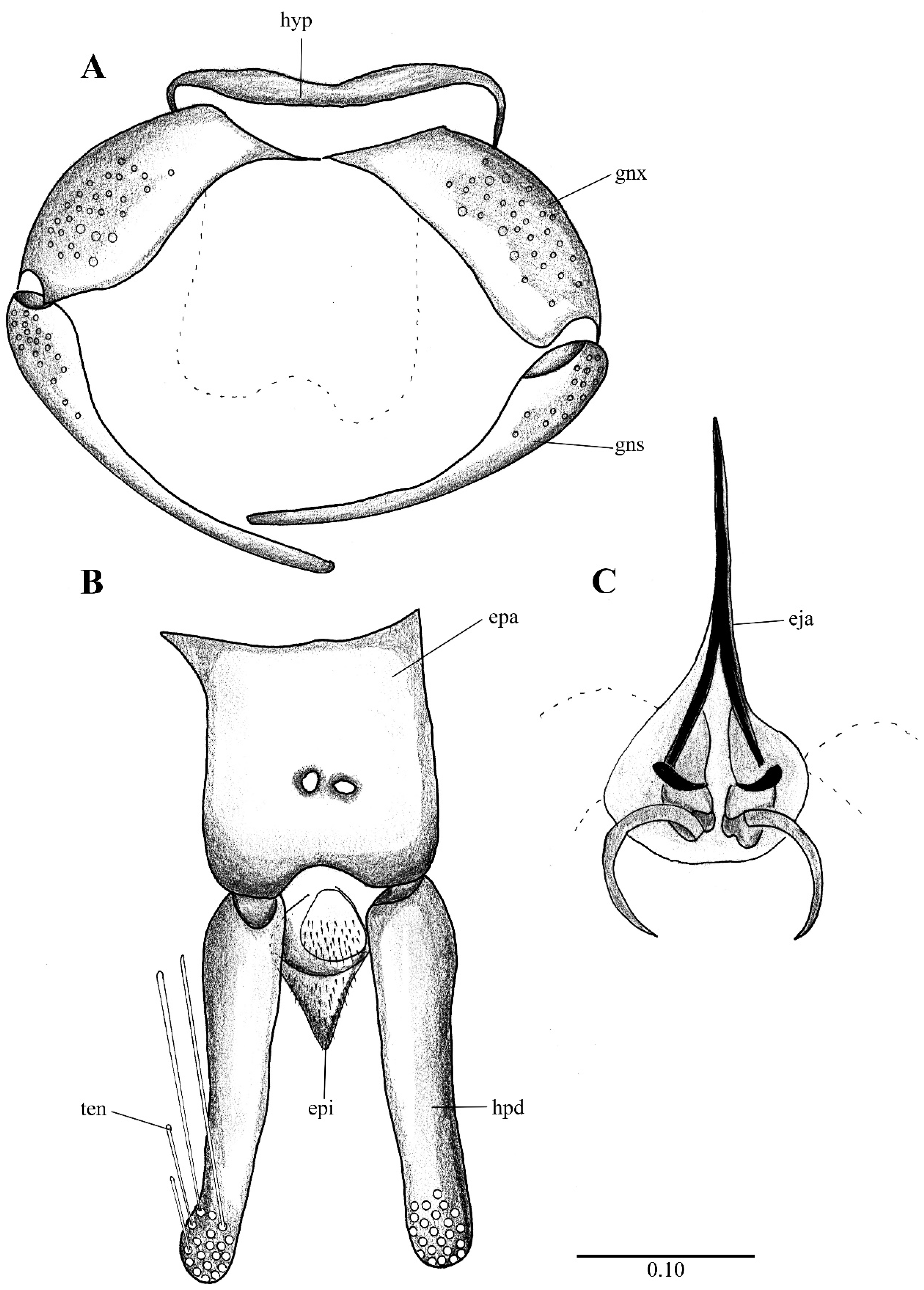 Diversity 14 00532 g012 Diversity 14 00532 g012