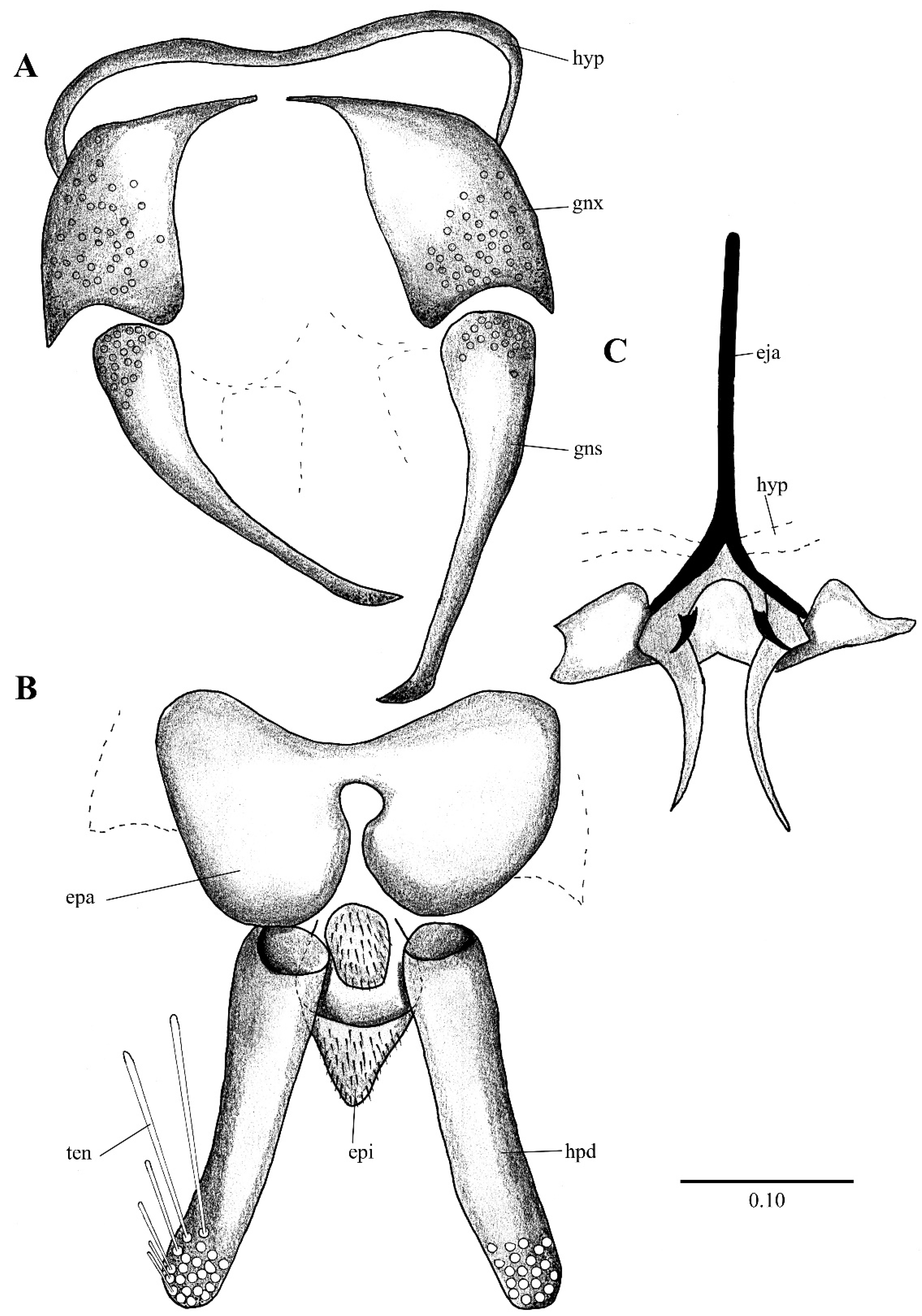 Diversity 14 00532 g013 Diversity 14 00532 g013